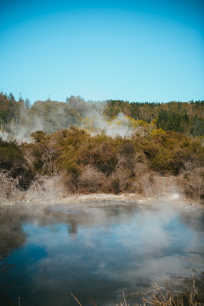 26thJuly2024_Whakarewarewa_TheLivingMaoriVillage_Alexis_Ioannou-84.jpg