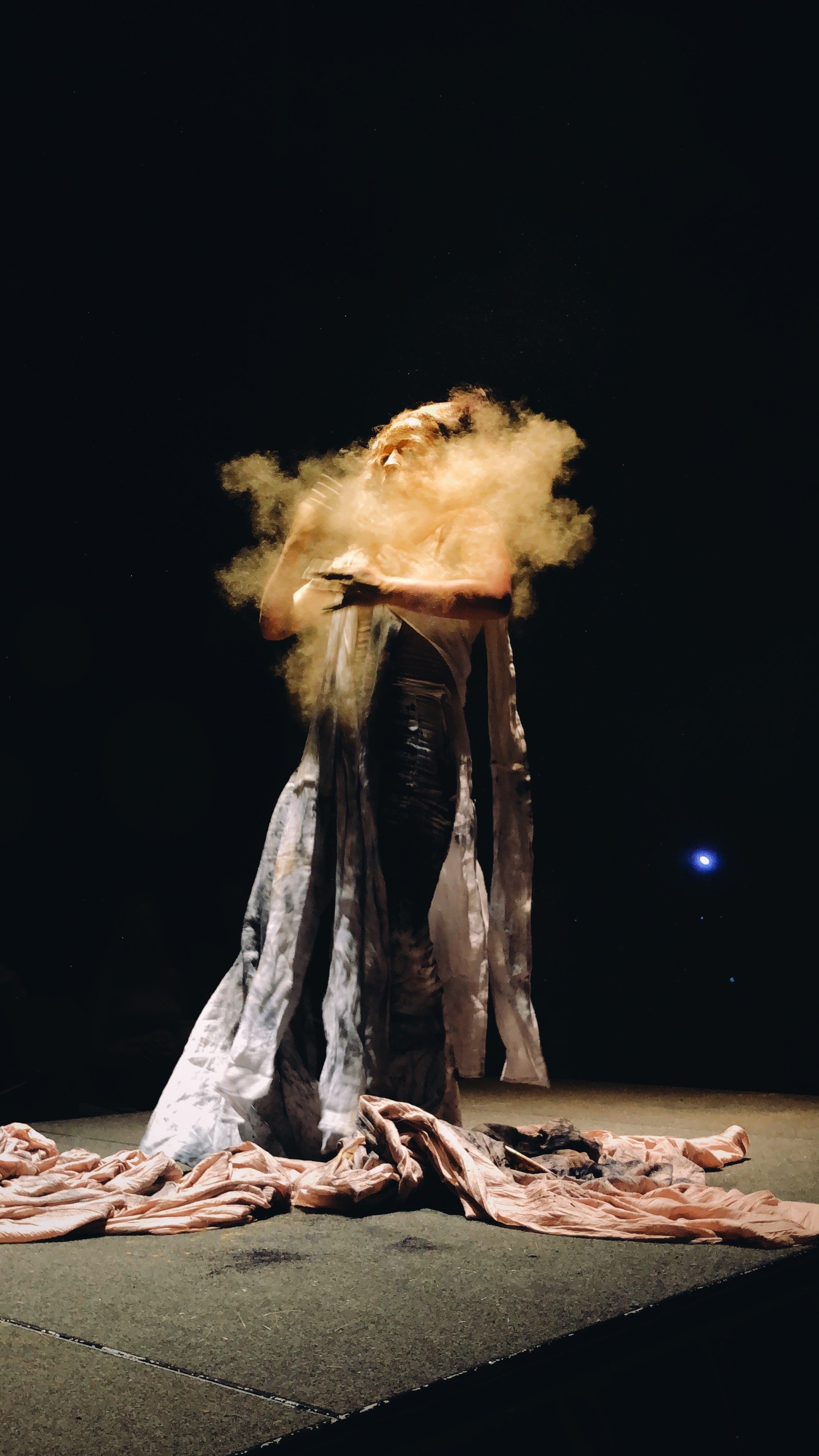 MICOLOGÍA,2019_Alexis