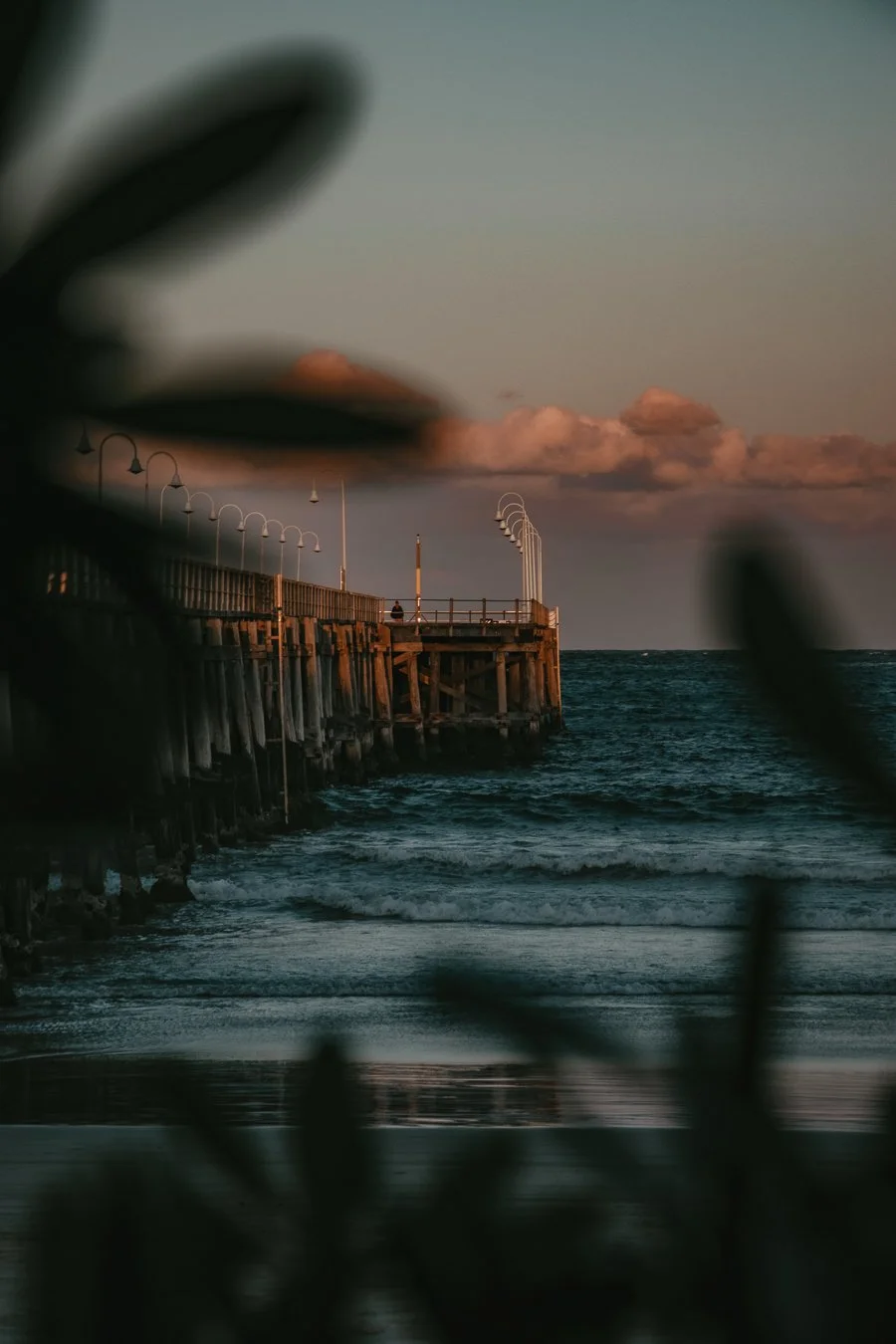 9thMay2023_Coffs_Harbour_Travel_Photography_Alexis_Ioannou-4.jpg