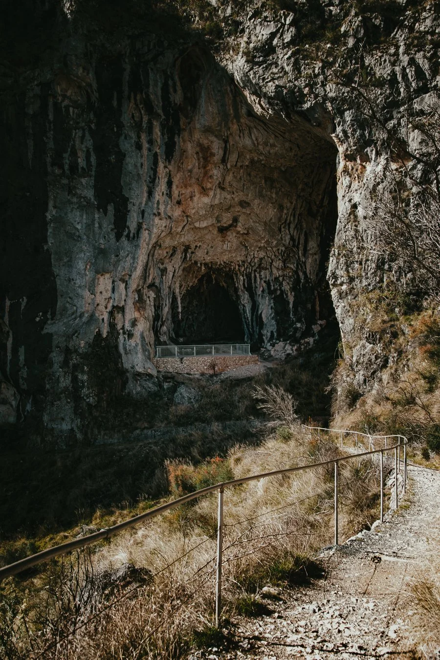 2023_Yarrangobilly_Landscape_Photography_Alexis_Ioannou-2.jpg