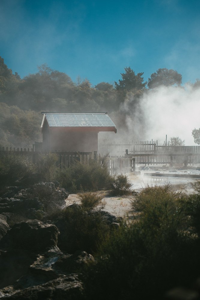 26thJuly2024_Whakarewarewa_TheLivingMaoriVillage_Alexis_Ioannou-21.jpg