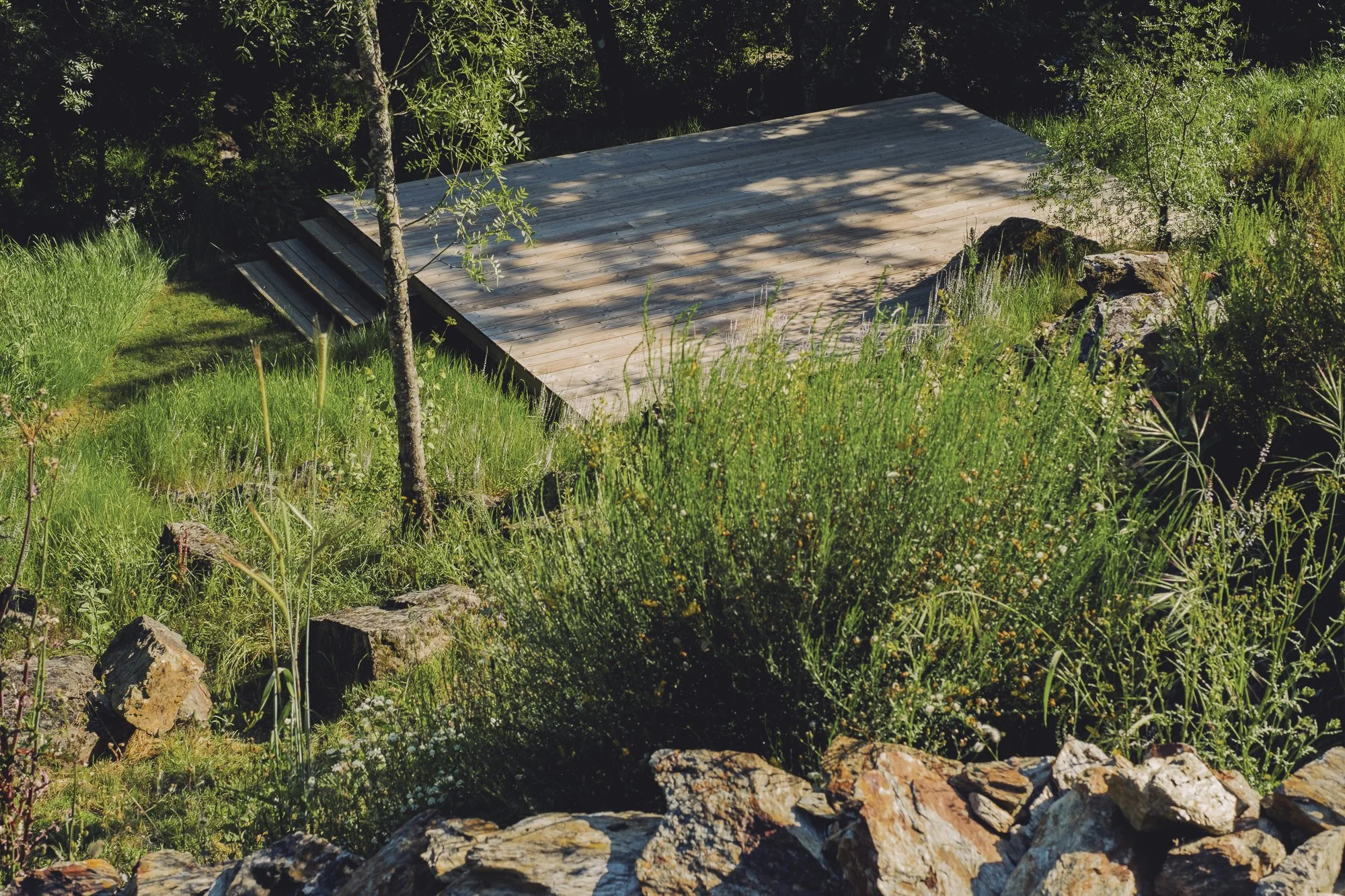 MatildeViegas_Tinhela610_LeMonde_Licensing-7.jpg (copie)