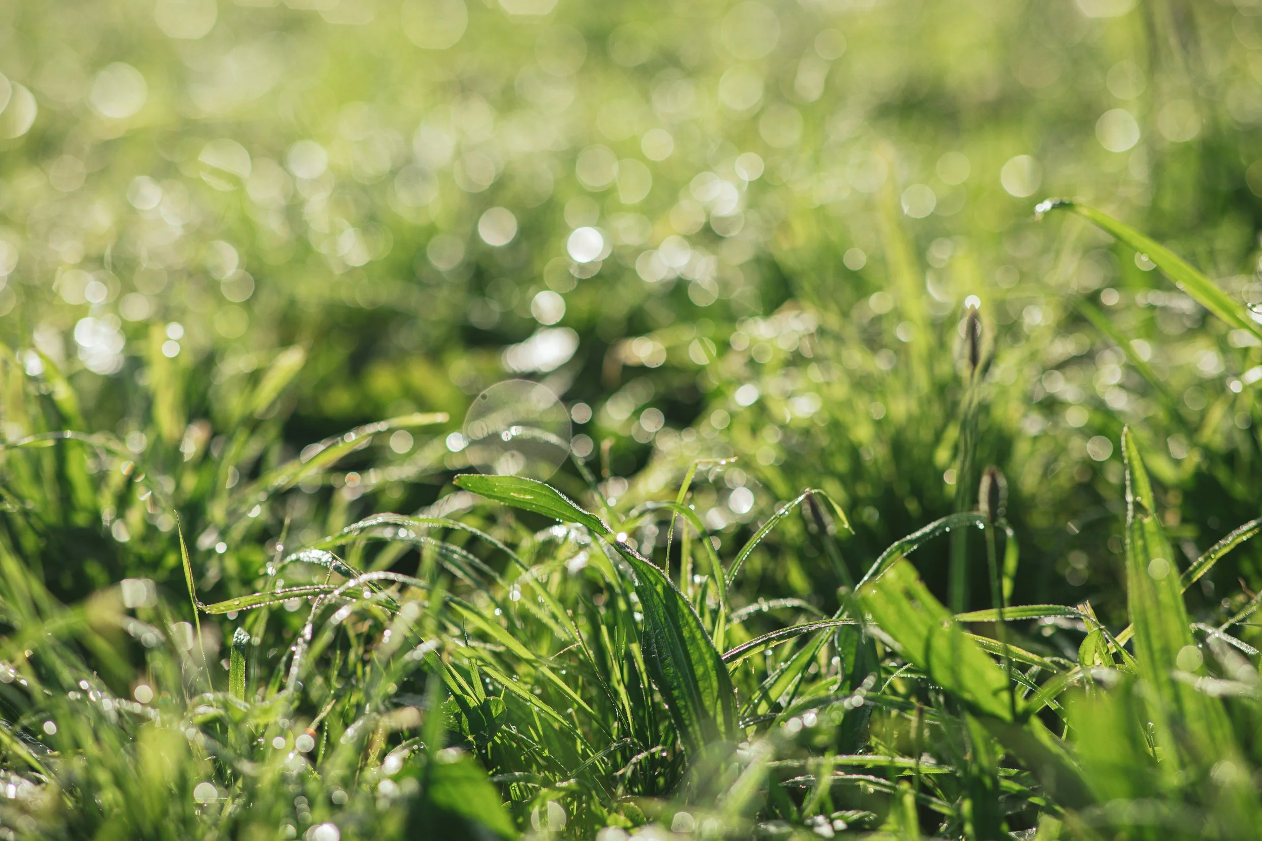 DGC_002 Shoot Capture_Initial Selects_LM_B1772.jpg