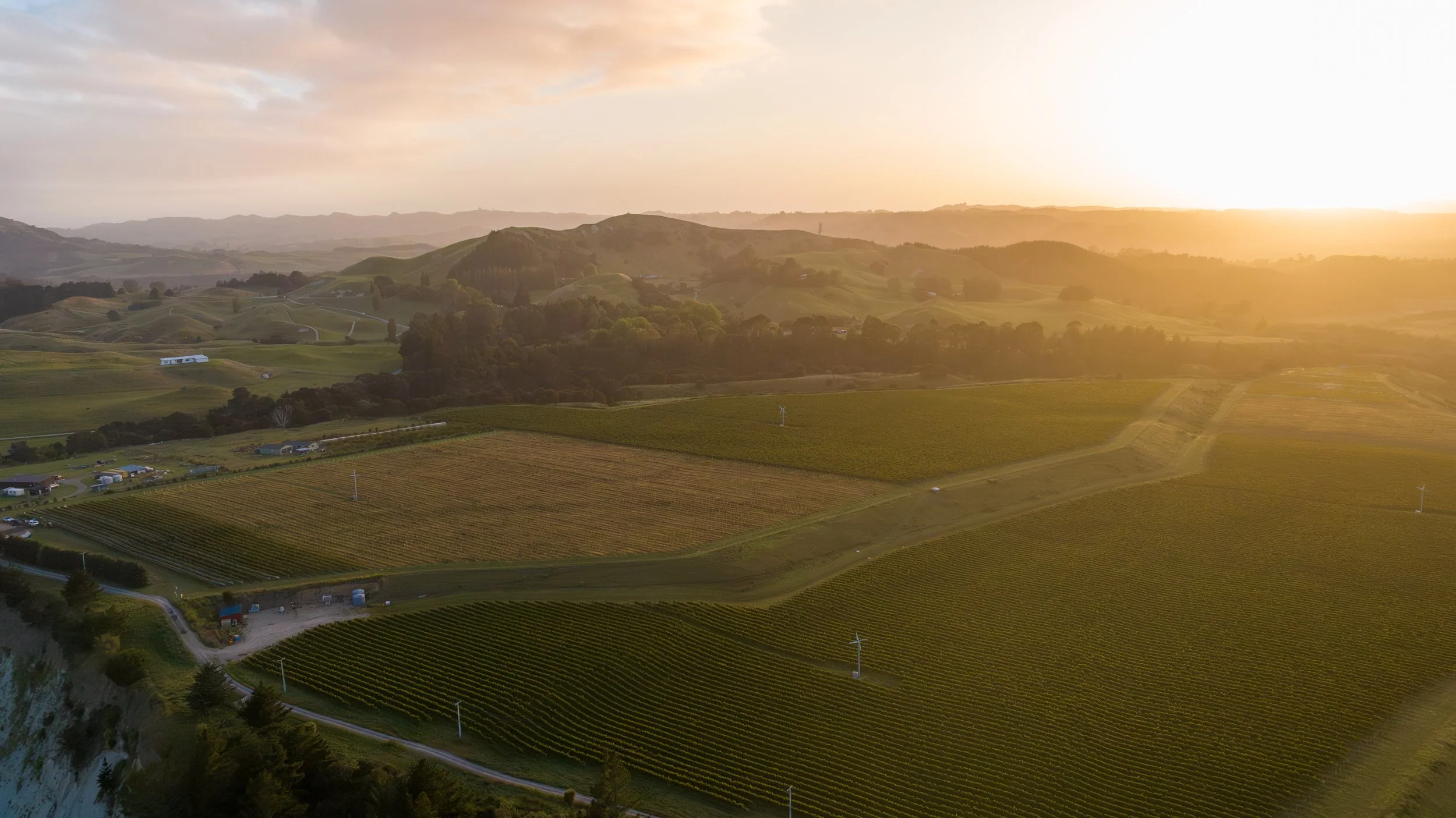 DJI_20260225070828_0160_D.jpg