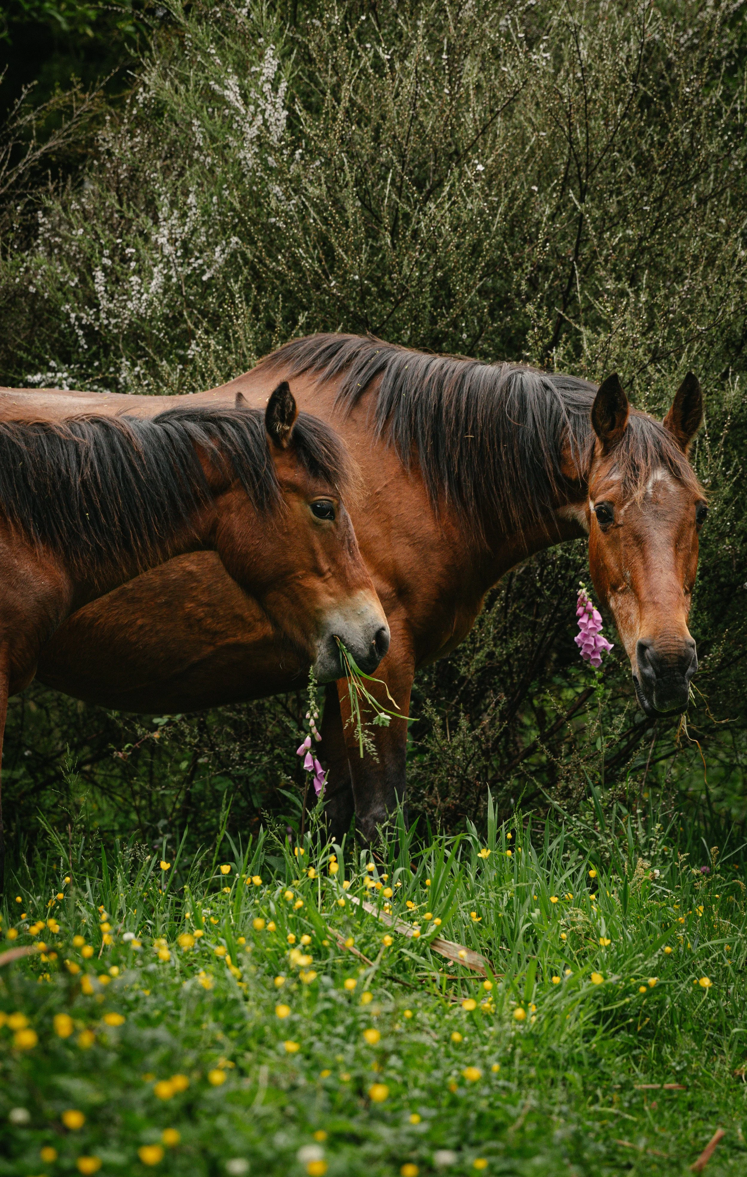 MHN_003 Manawa Discovery_LM_A7701.jpg