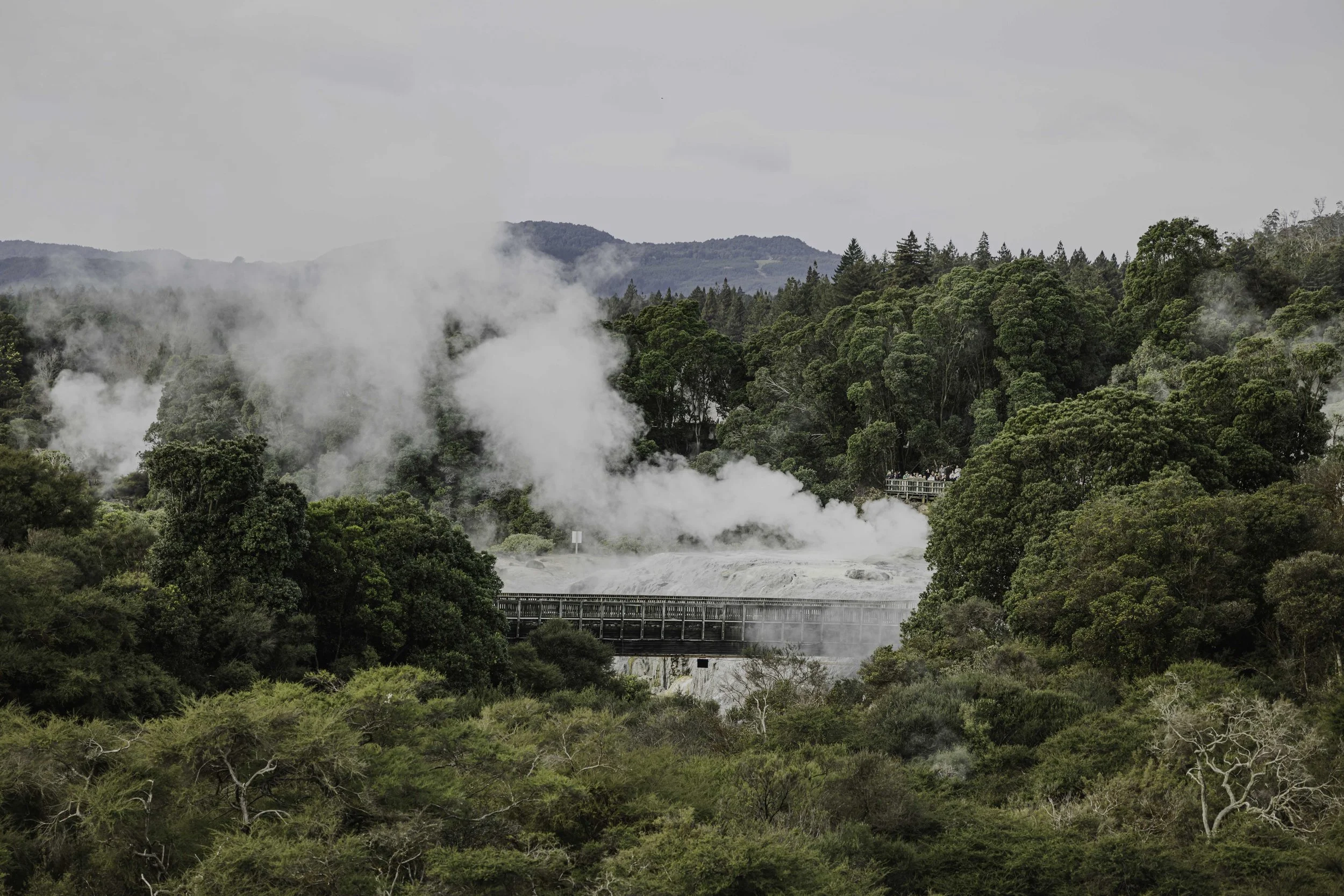 GUA_004 Te Puia_NZMACI-6731.jpg