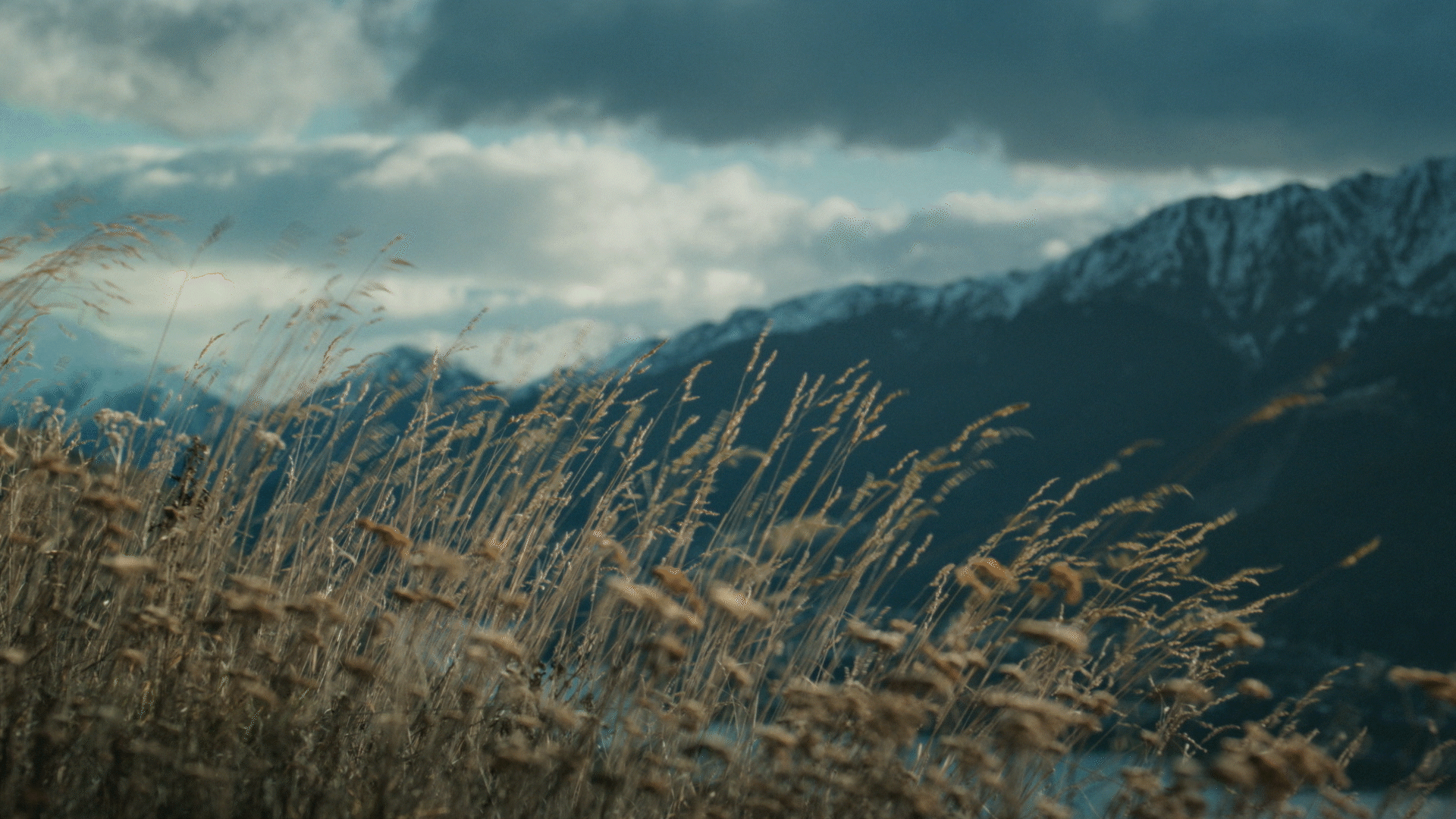 LKN_040 Landing Page Website GIF _ V1.gif