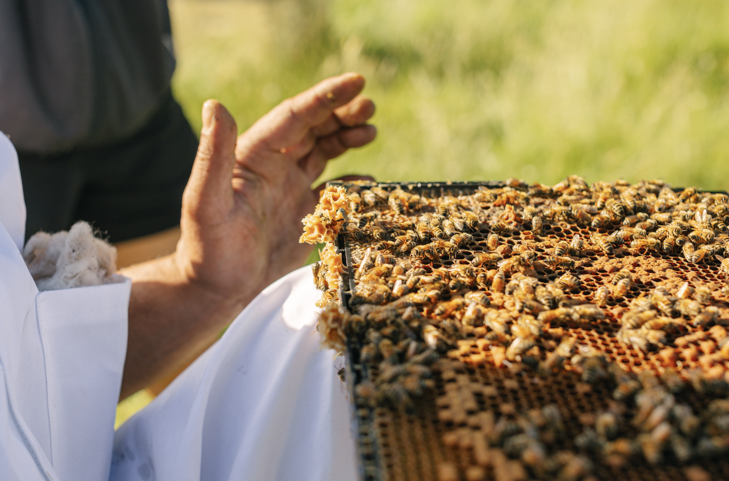 Screenshot 2025-12-17 at 10.40.10 AM.png