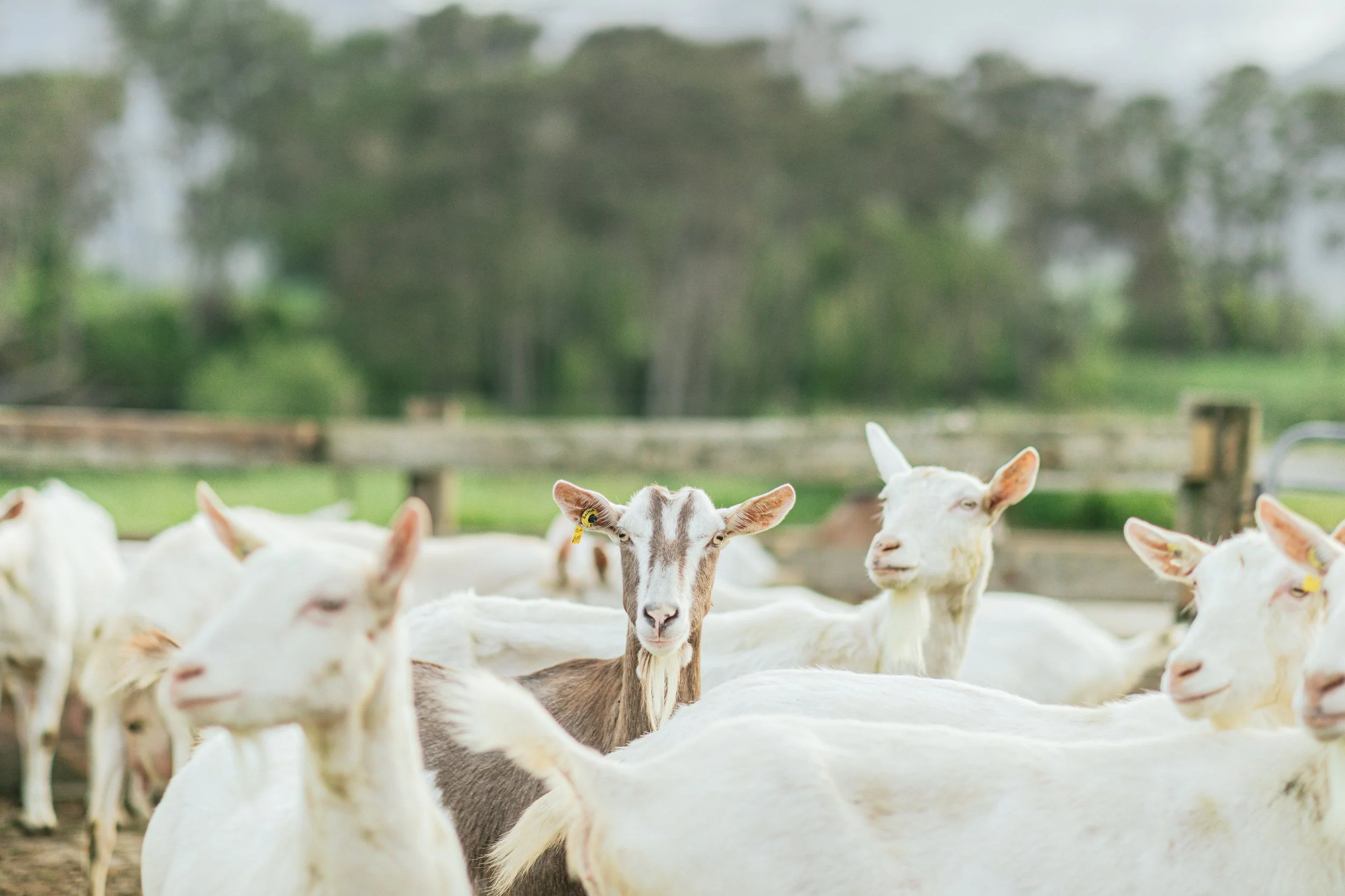 DGC_002 Shoot Capture_Initial Selects_LM_B1659.jpg