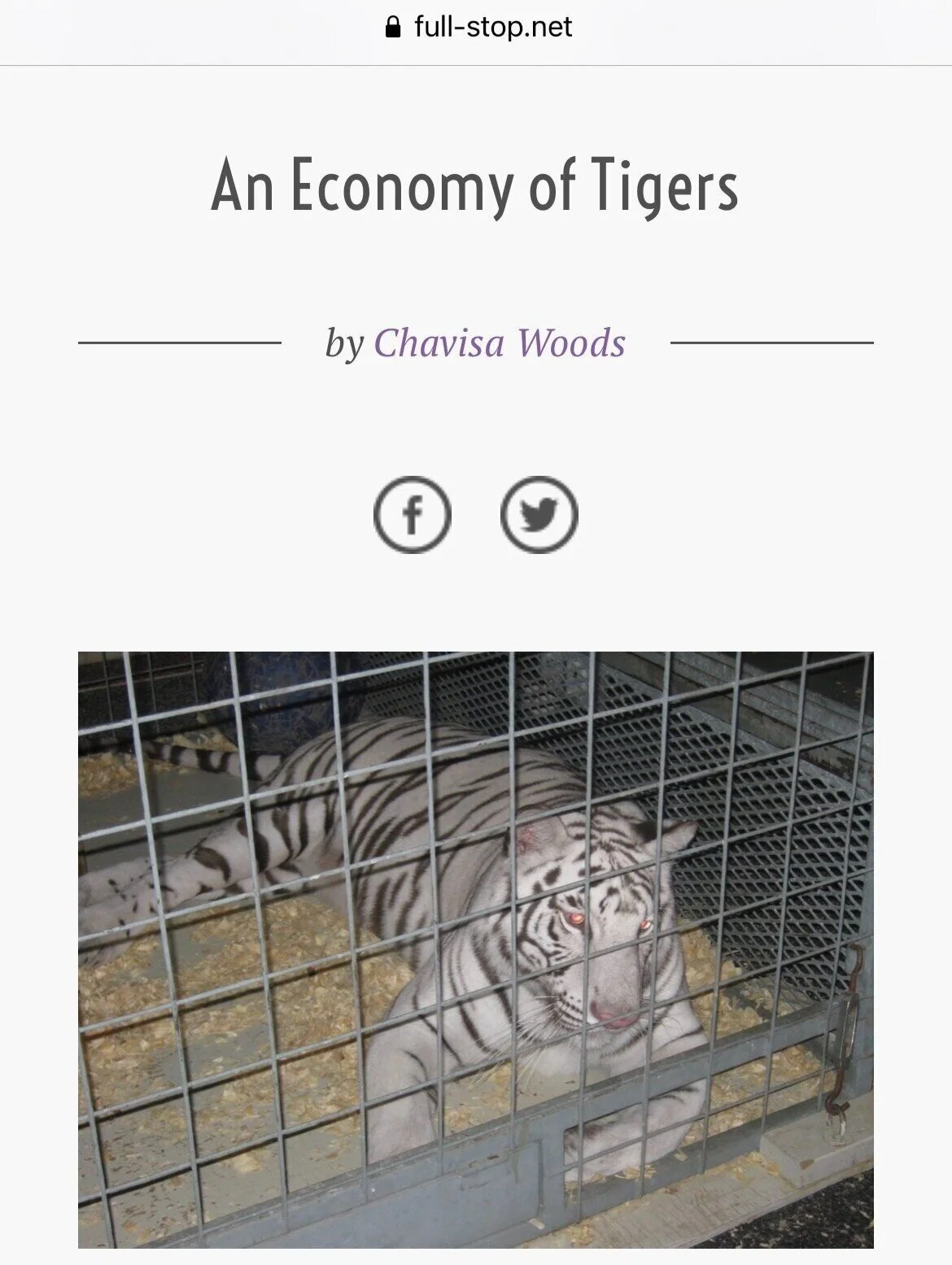 A Tropical Zoo in Rural America