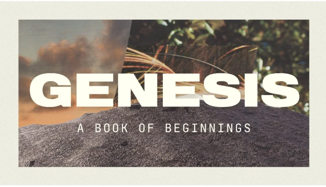 The Waters of Judgment and the Ark of Grace