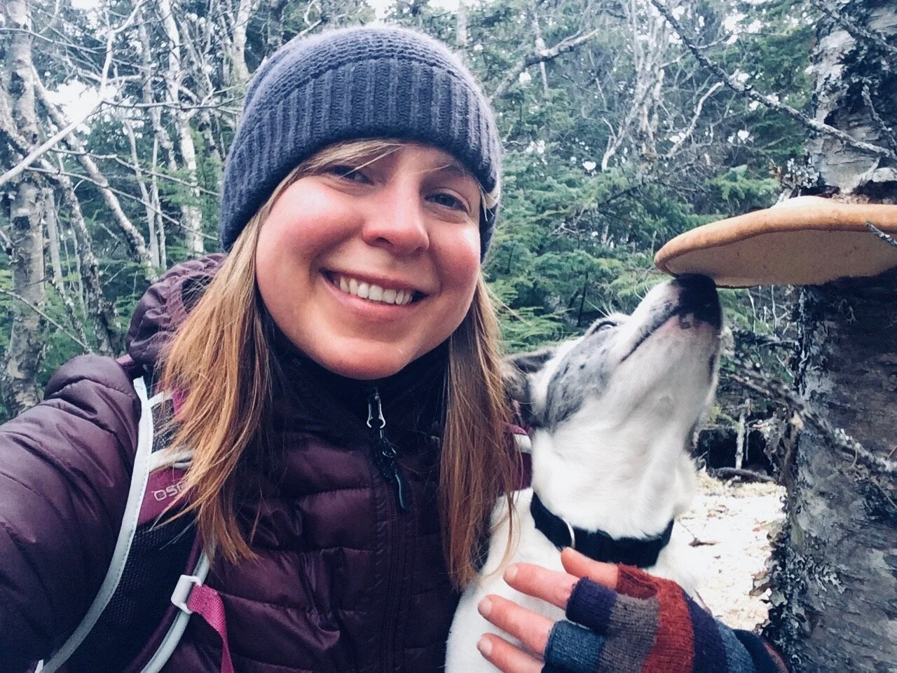 Puppy love &amp; Chai tea