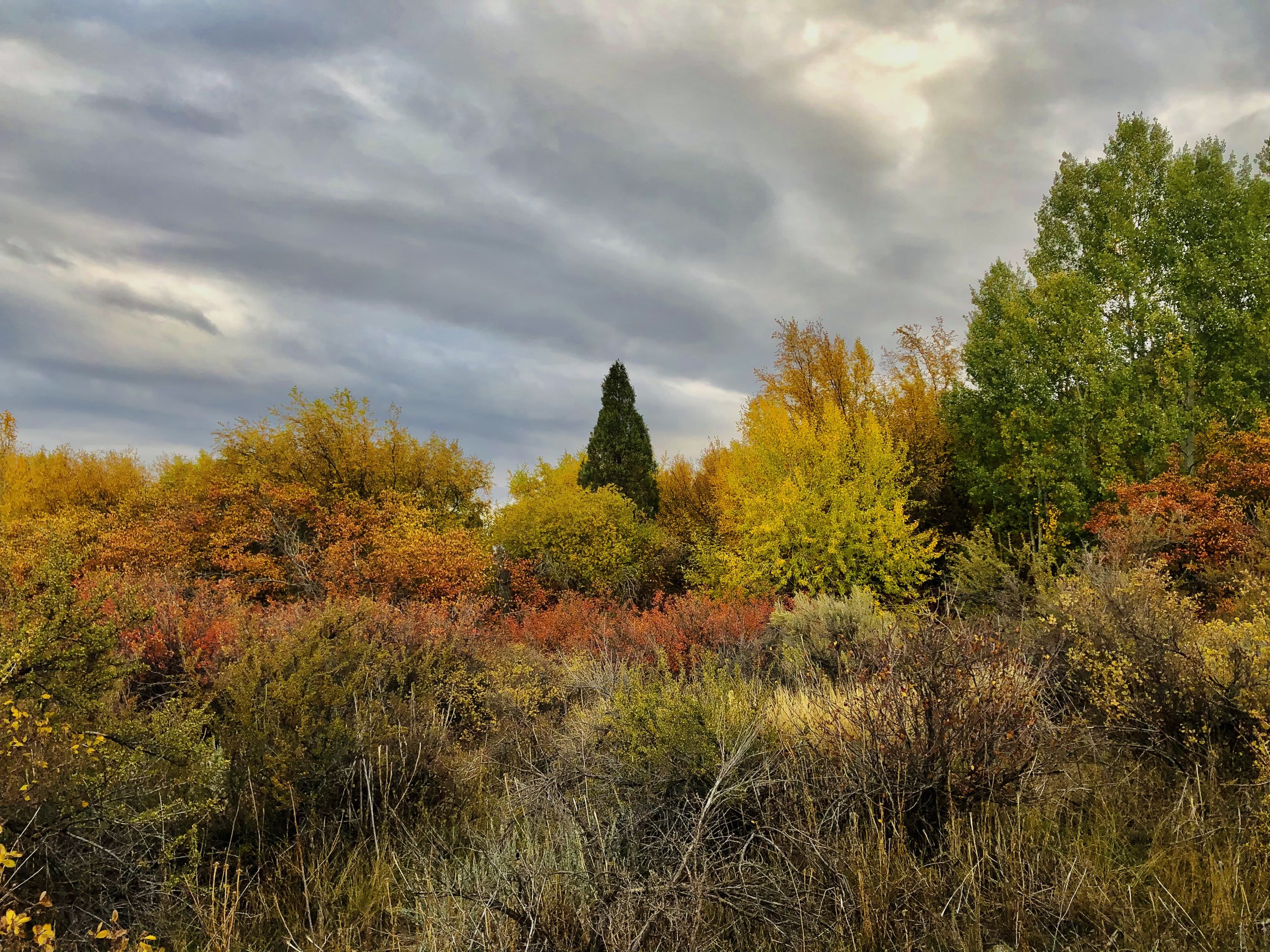 autumn glow, robbers roost.jpeg