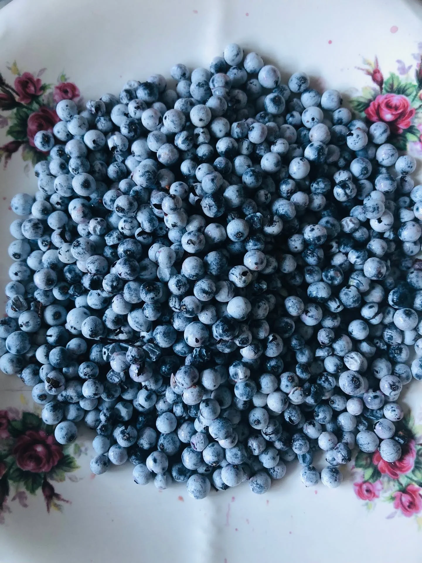 Elderberries... 
“In Denmark, lore described that if one stood under the elder tree on midsummer’s eve, one would behold the kind and queen of fairyland riding by with a retinue of elves, nymphs, dwarfs, and other fair folk mounted on ho