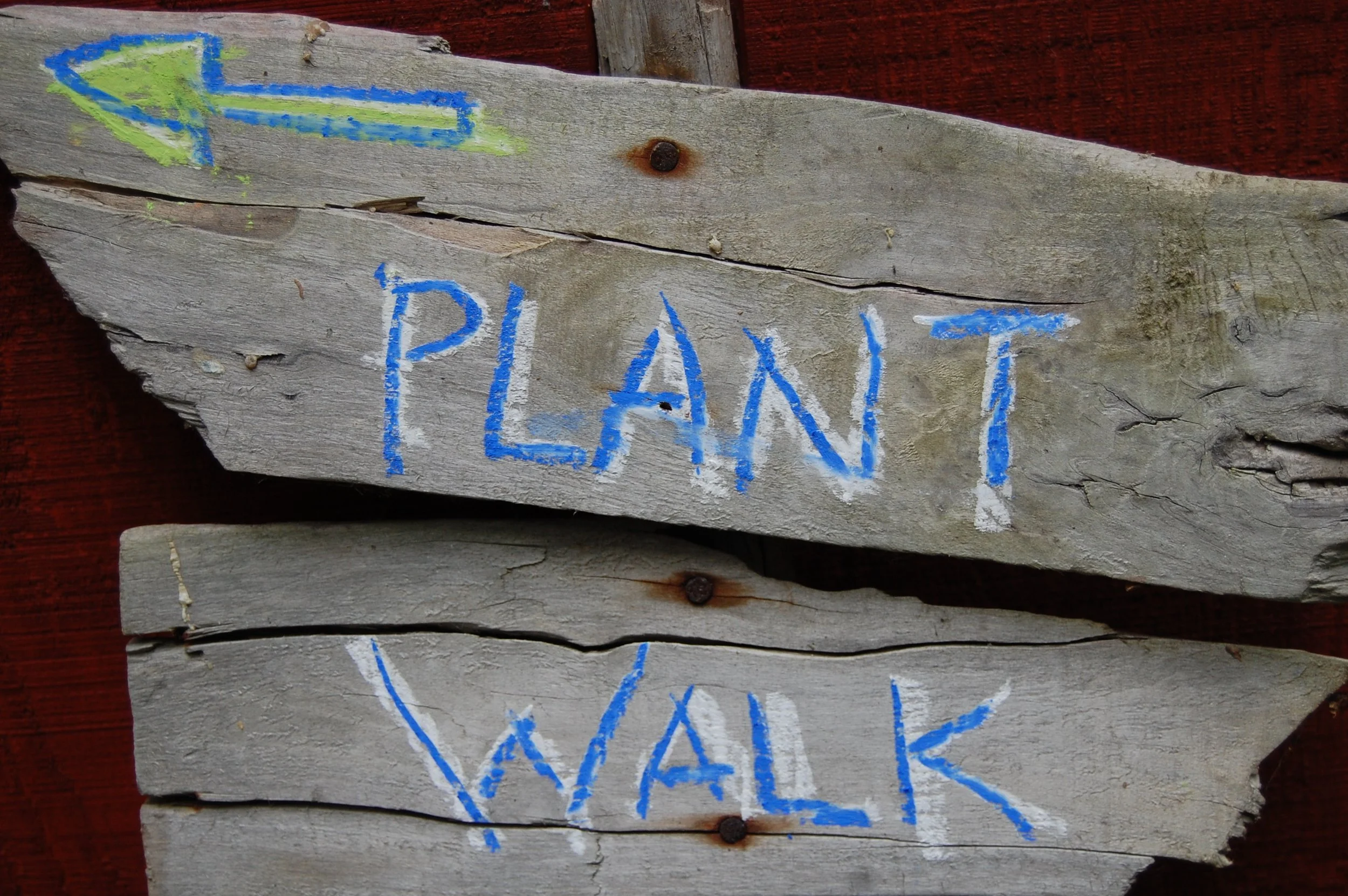 ♢ PLANT WALK ♢ Saturday 9/19 10:30-11:45am