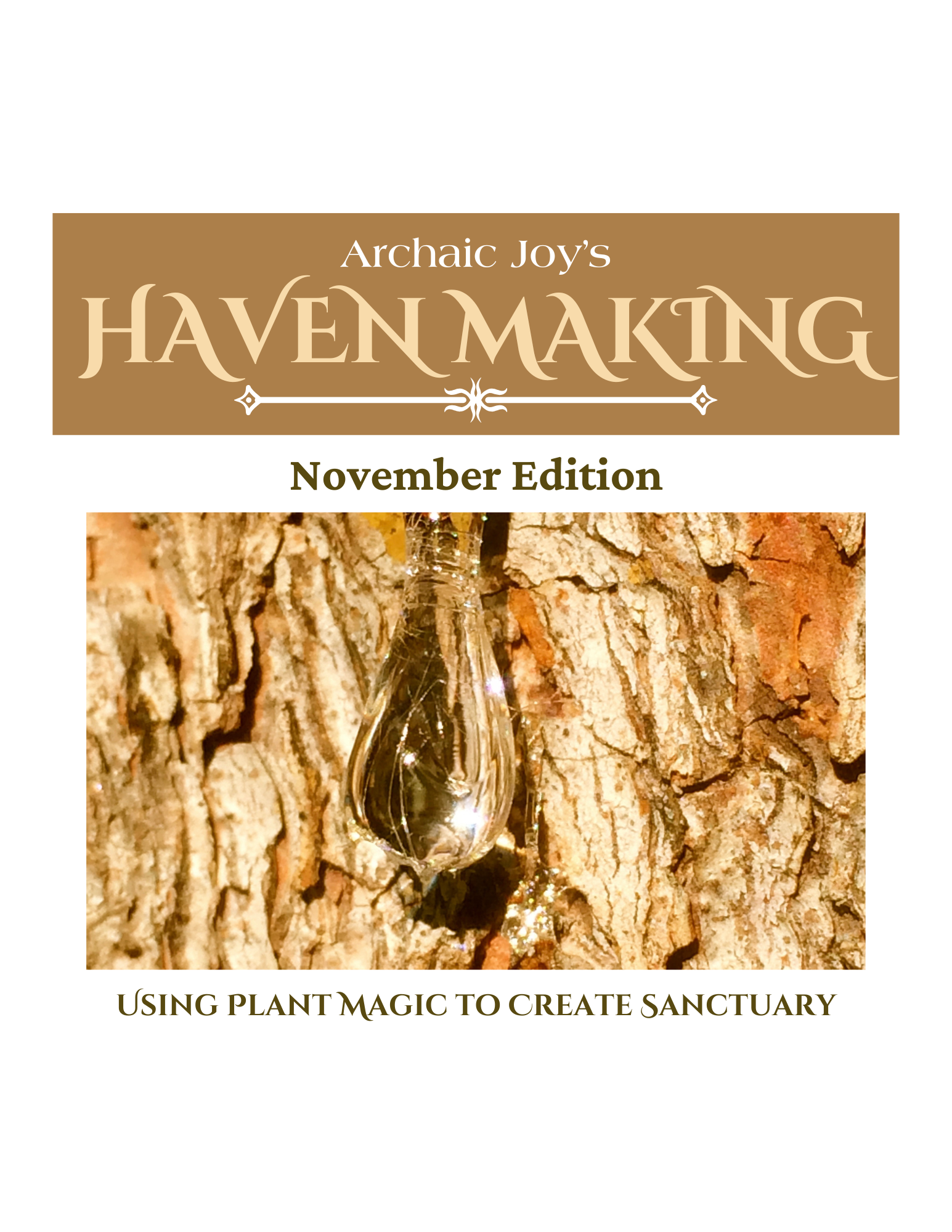 November COVER website.png