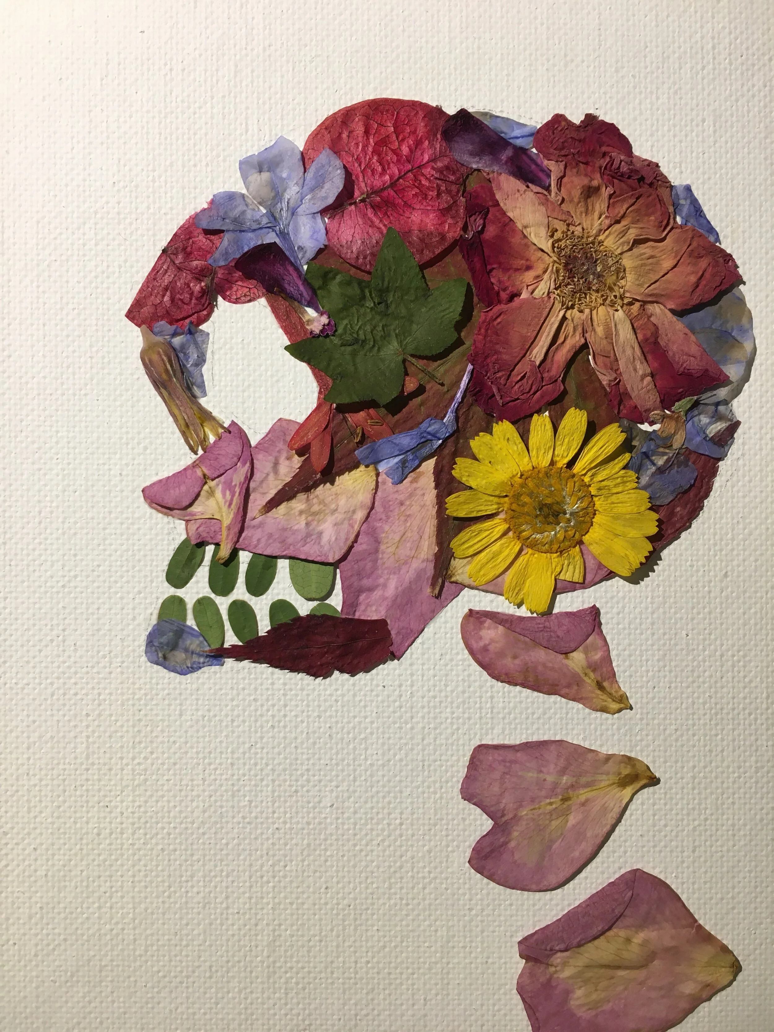 Flower Study No. 1
