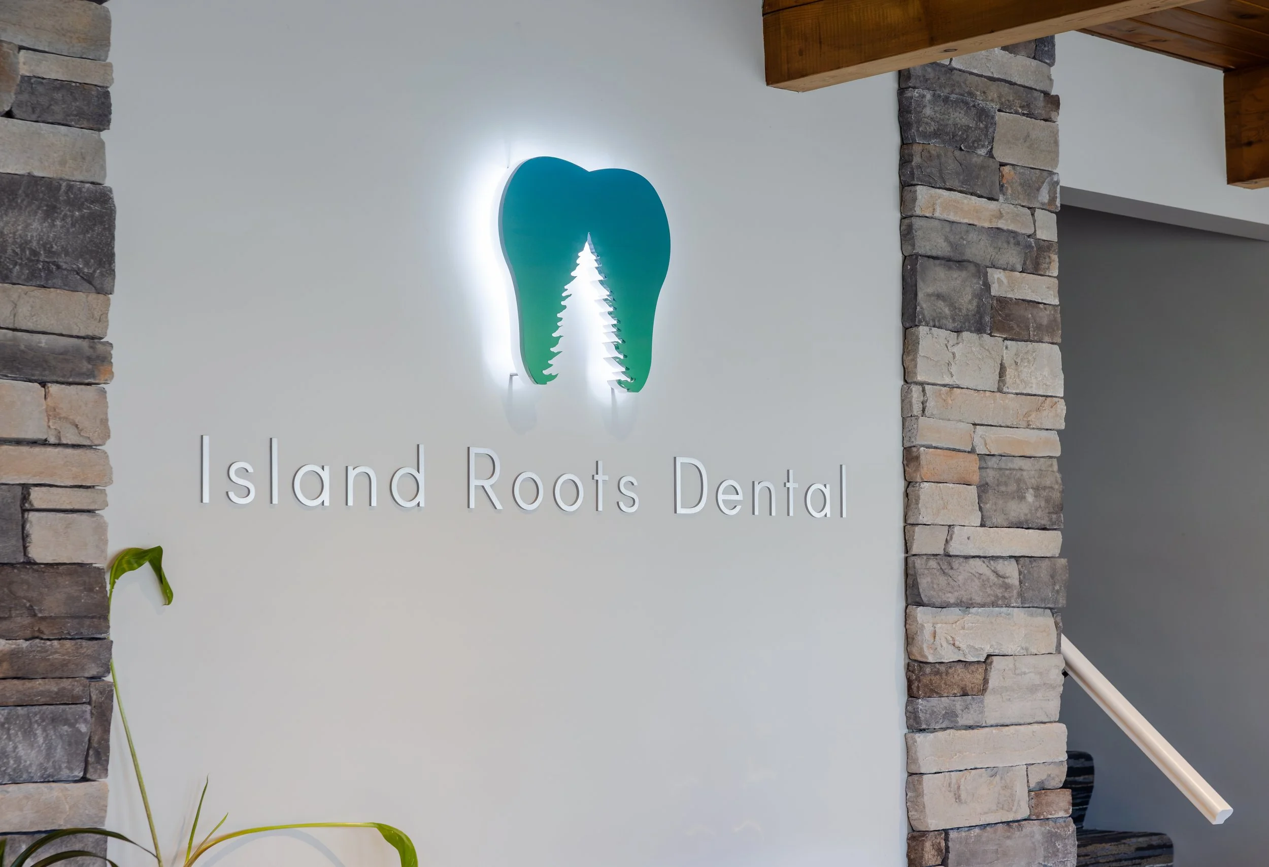 IslandRootsG.O-5.jpg