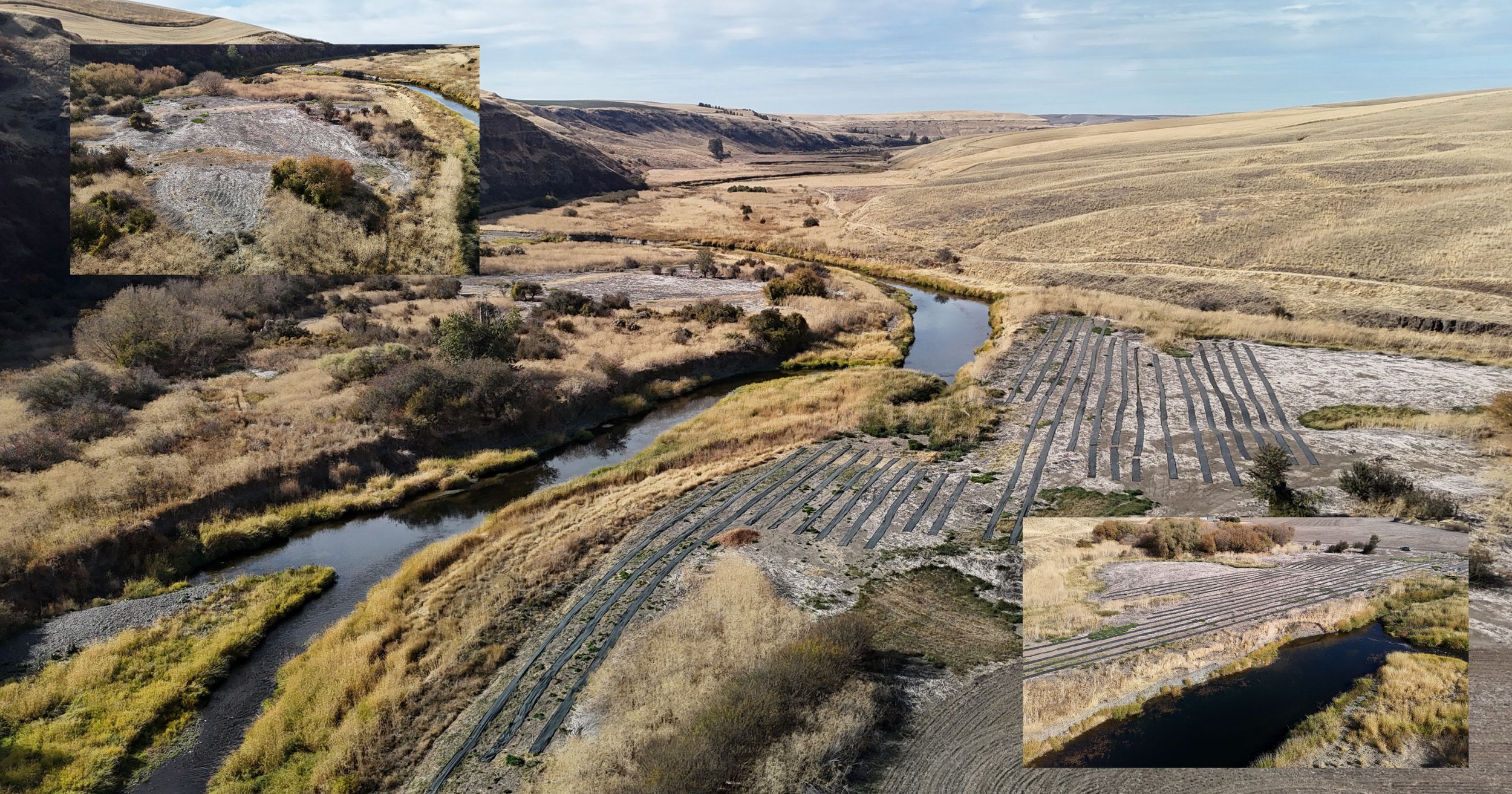 Image shows an ariel shot of the restoration site. The Palouse River runs through the middle and both sides are shown with progress in weed barrier and hemlock control.