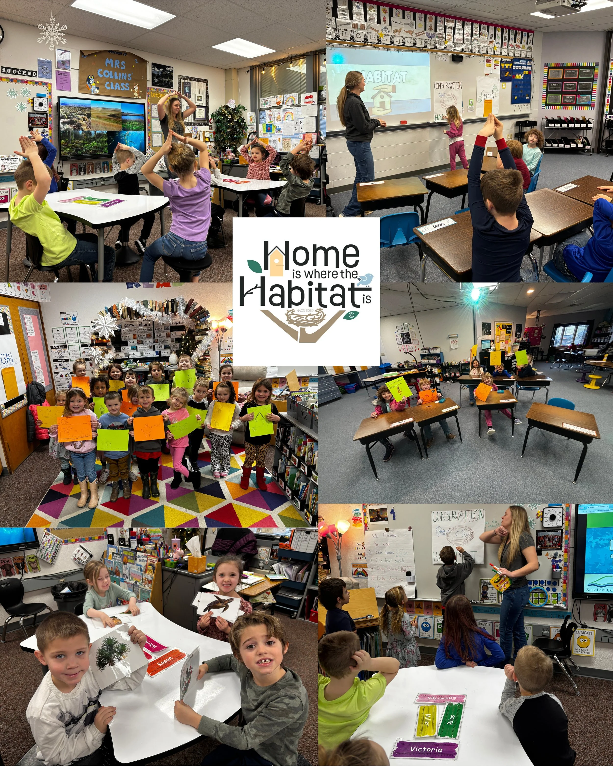 Collage of images showing students participating in lessons in their classroom together