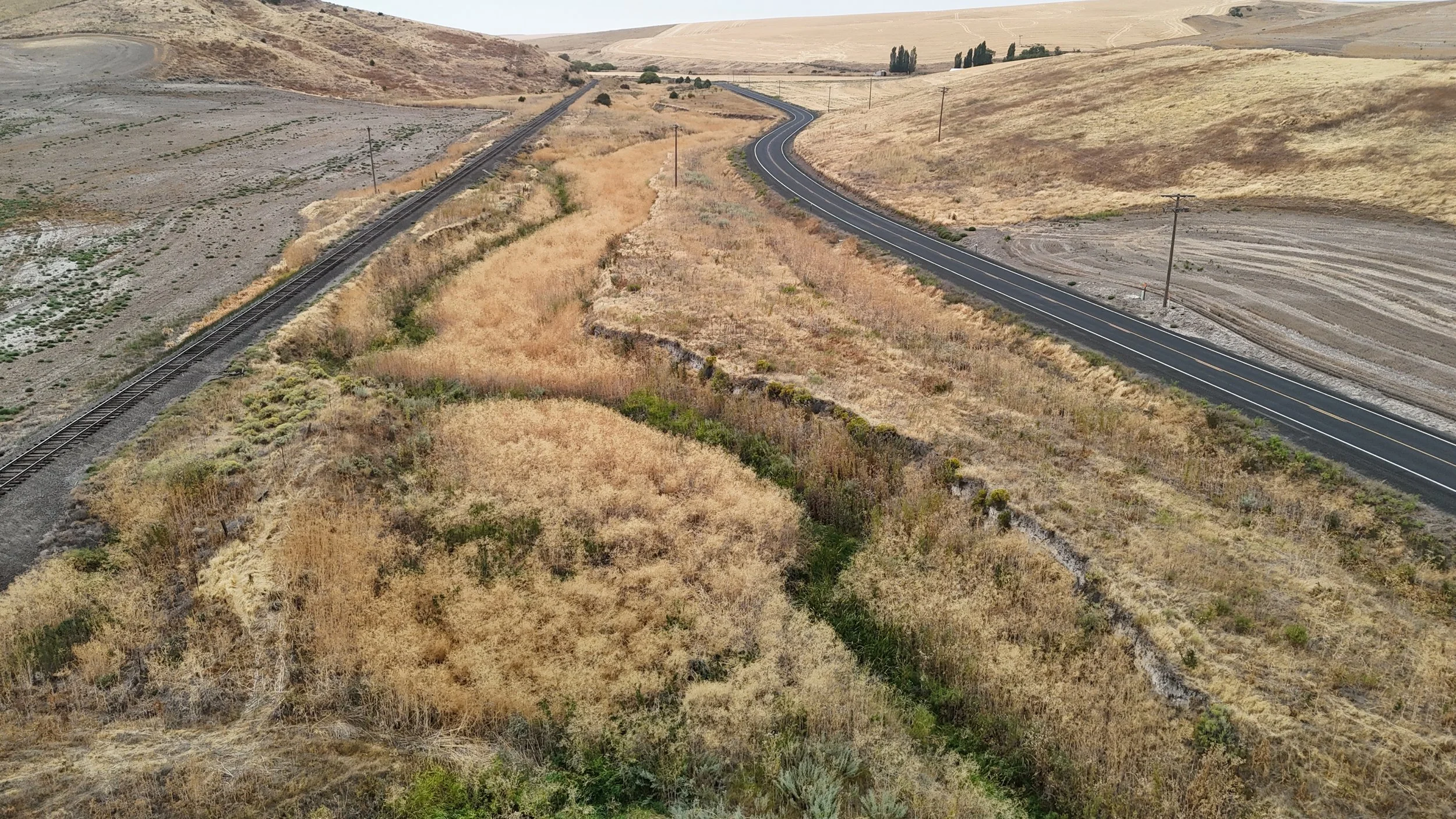 Overhead shot of the Downing Creek Riparian Restoration Project Site