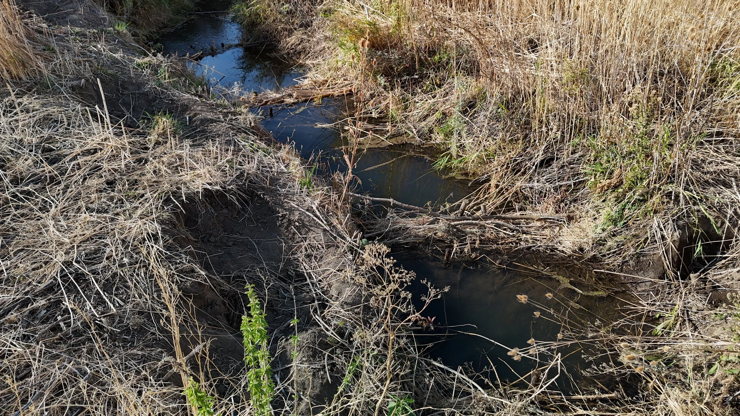 Several underwater BDAs in Downing Creek used to slow the flow and create pools.