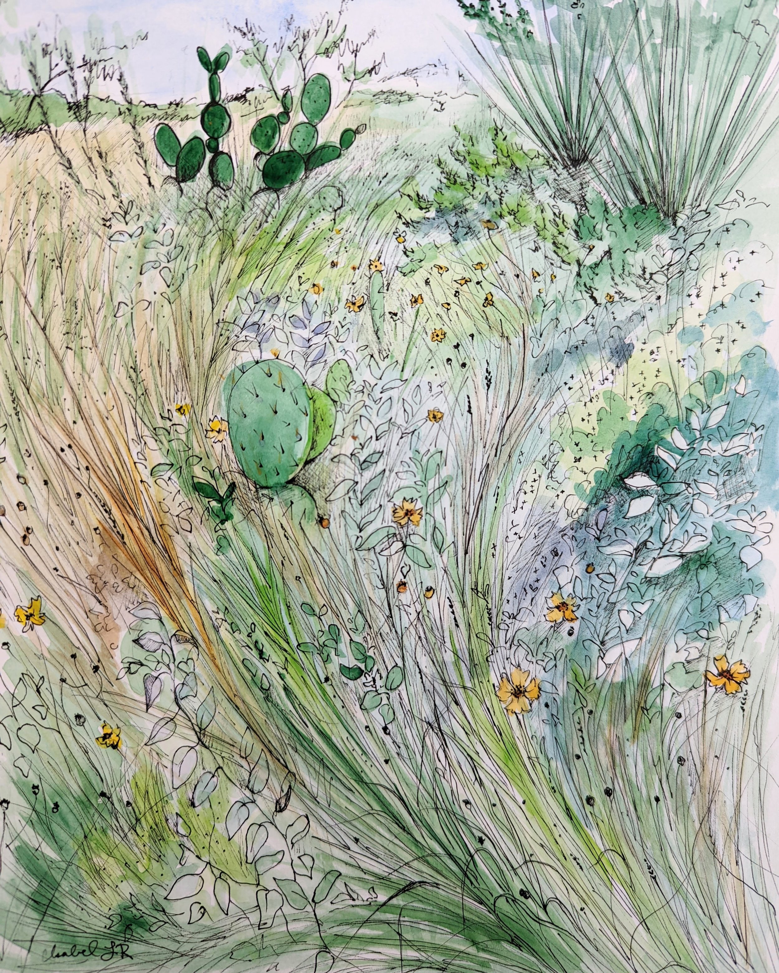 Sweetwater Study  |  2022
