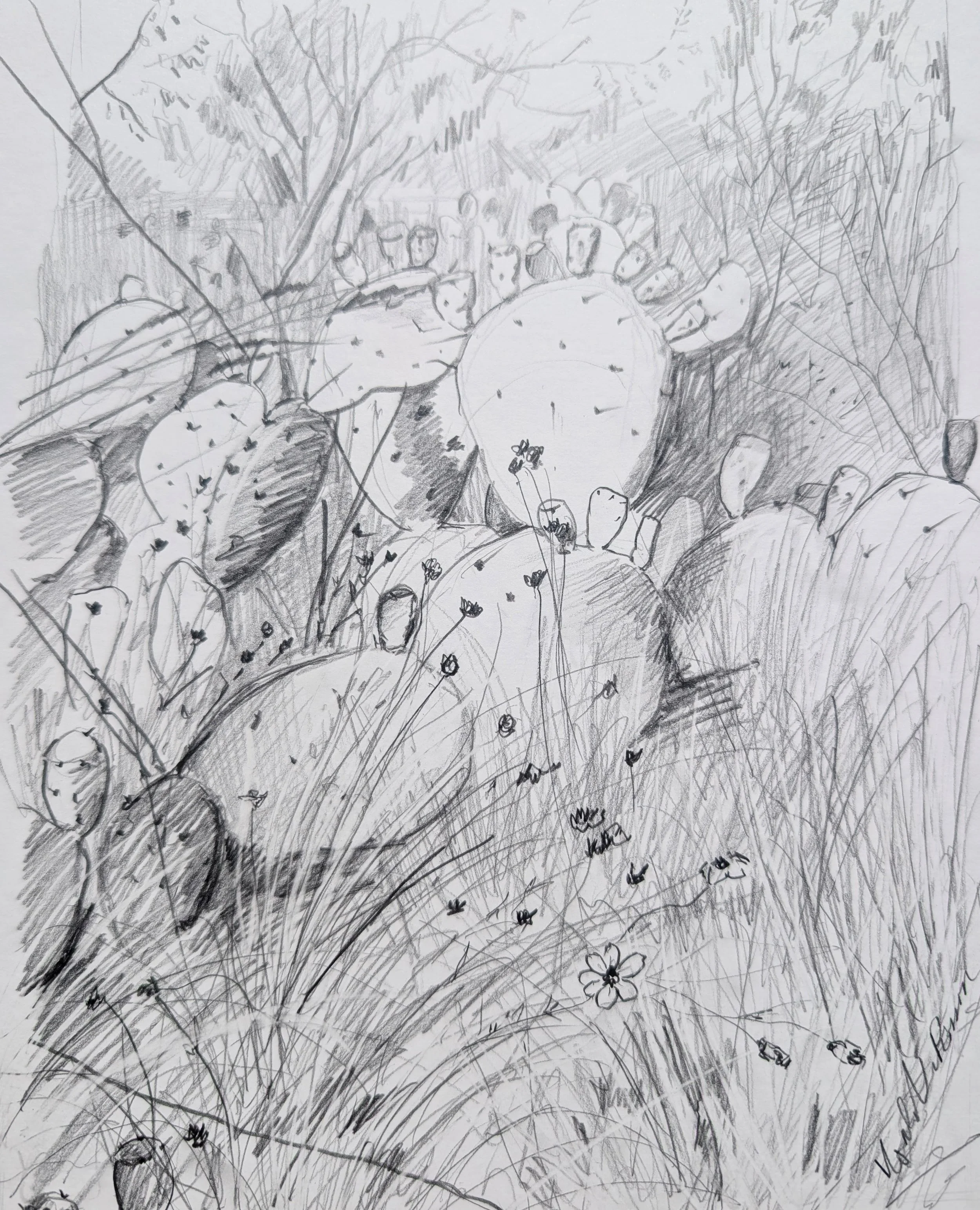 Sweetwater Texture Study I 2025