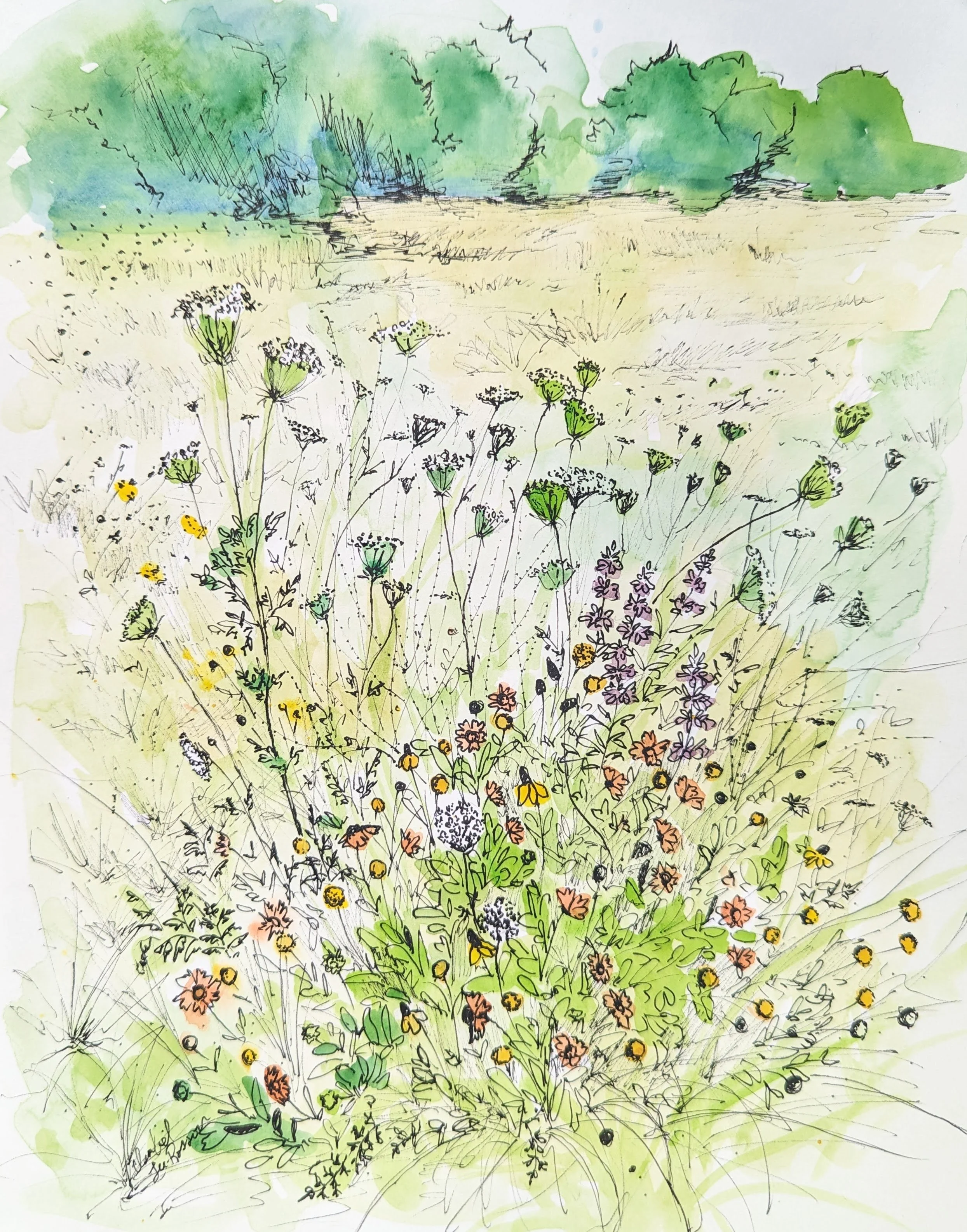 Bouquet Study  |  2023