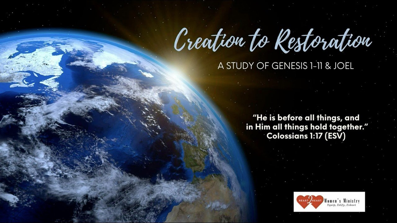 Genesis Women’s Tuesday Study - Robin Boyd