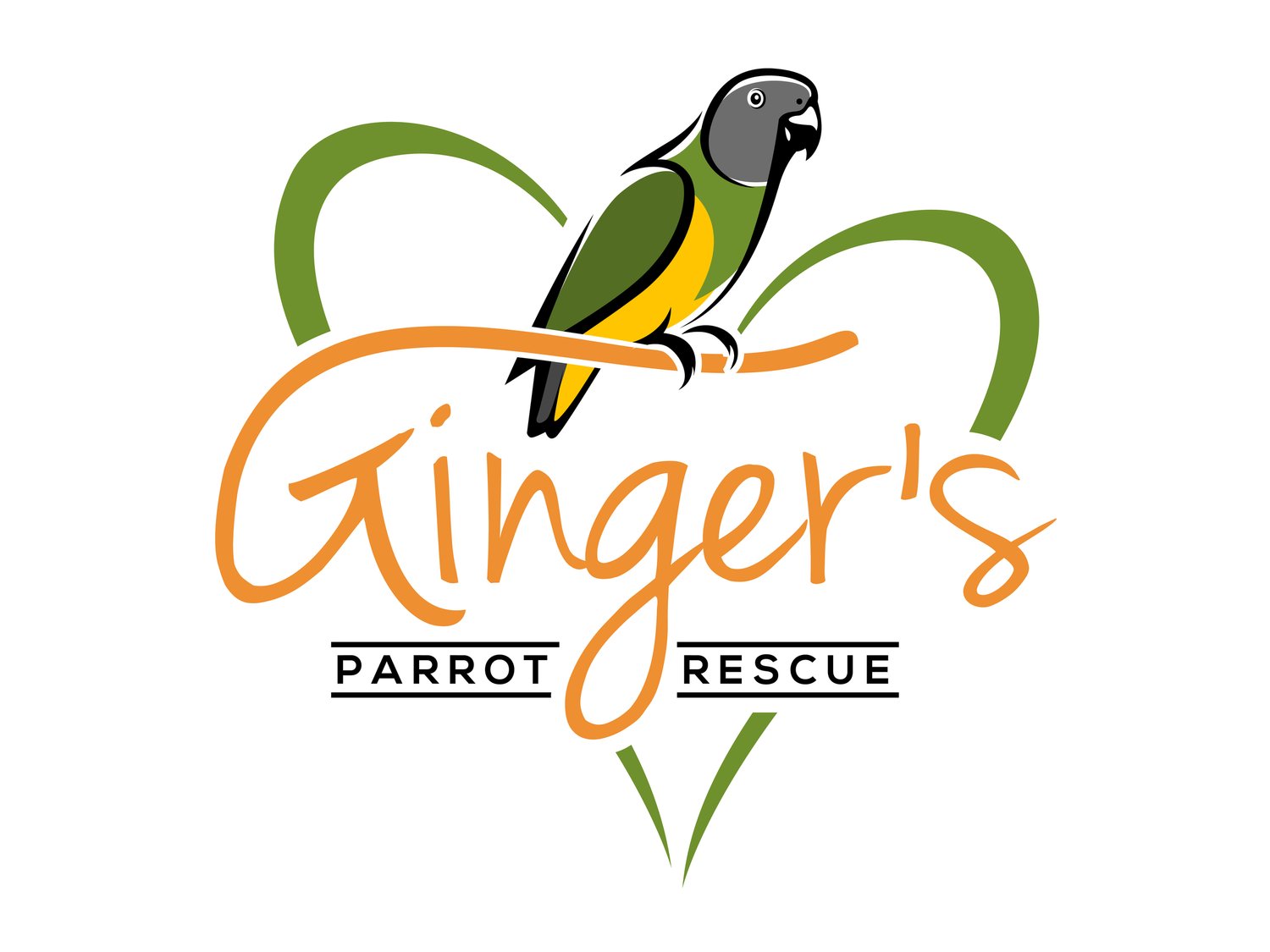 Gingers Parrot Rescue