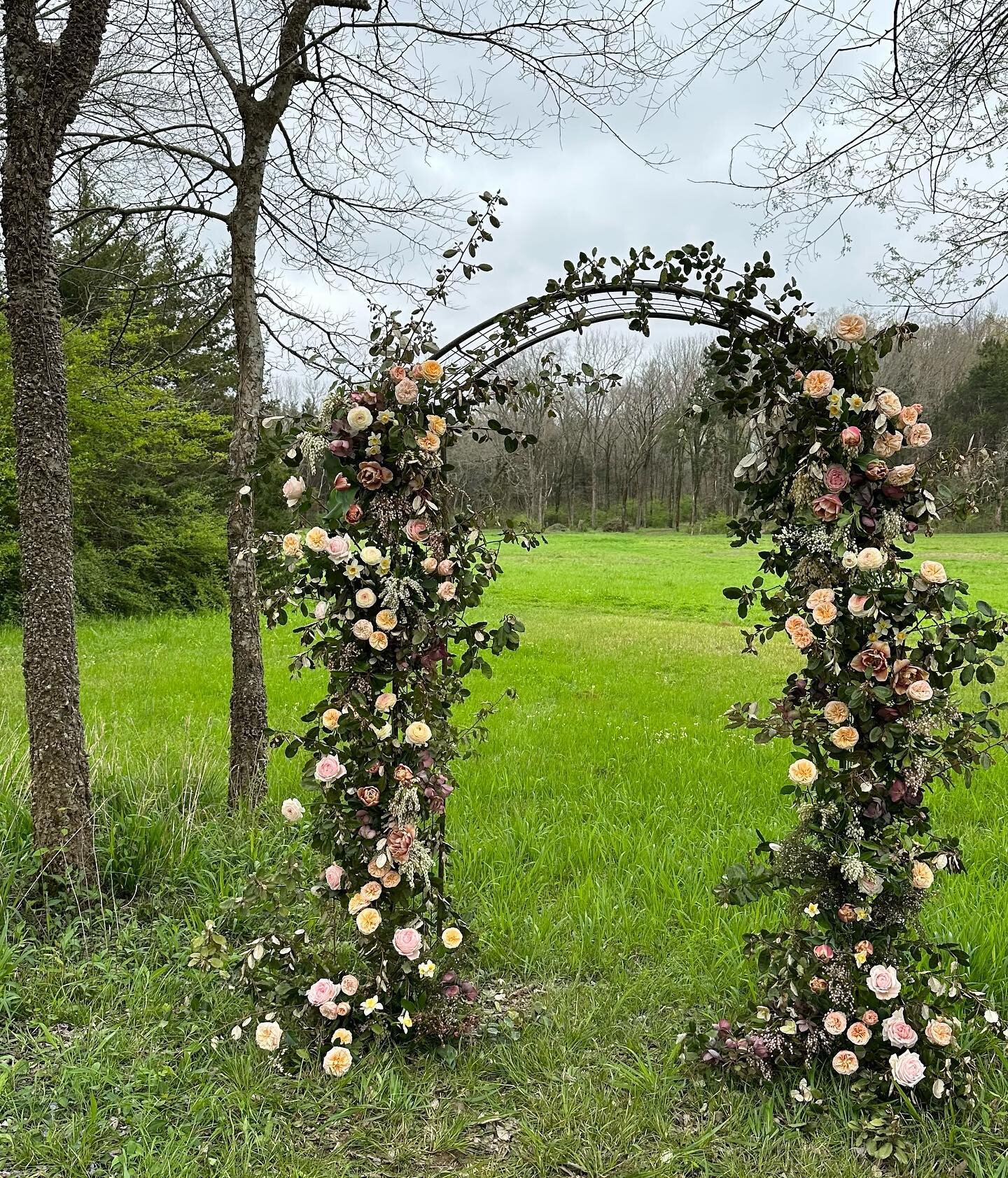 a floral arch for vows to be said under. composed of so many lovely seasonal blooms and a base built up of locally grown elaeagnus, her dark richness is what we envisioned. 

#florist #weddingflorist #alabamaweddingflorist #birminghamwedding #mountai