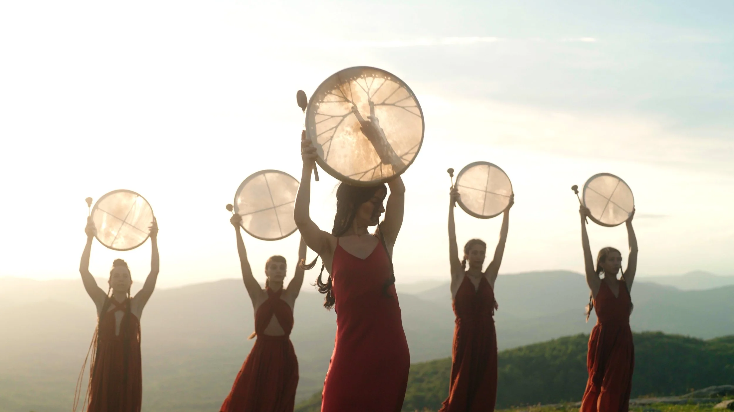 mdlp screenshot 1.JPG