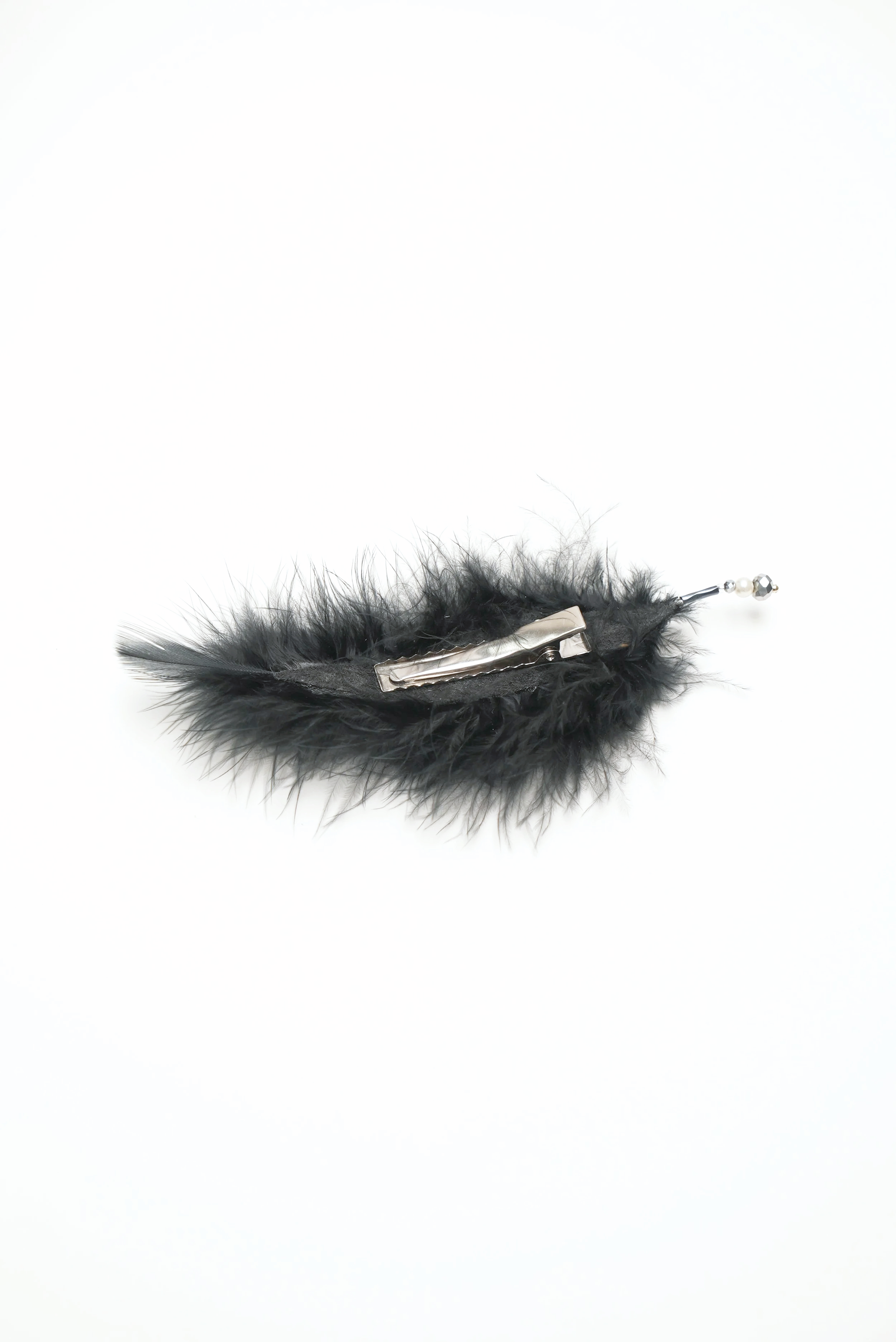 DSC00288.png