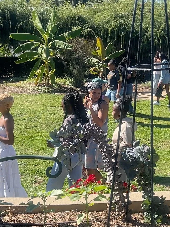 🌸Tip toe through the garden with us! ⛲️
&zwnj;
This weekend we visited @thehuntingtonlibrary and gardens.
&zwnj;
It was a beautiful hot and sunny 80 degree Fall day in LA 😆, and what better than taking a stroll through the garden but you know we&rs