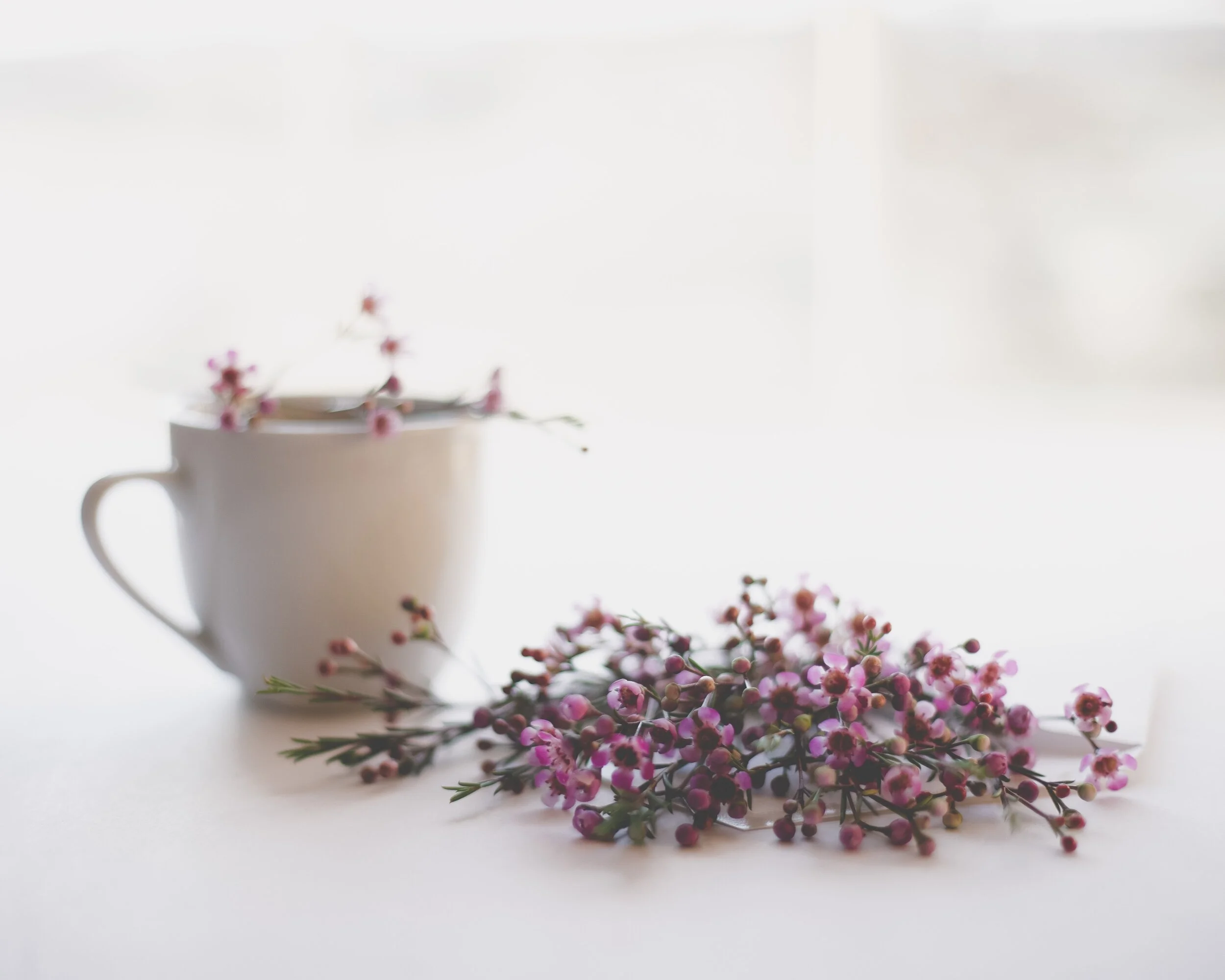 Journey Into Wellness (Virtual)