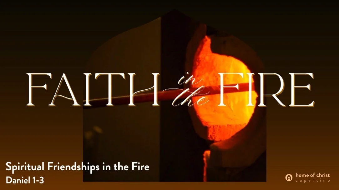 Faith in the Fire | Spiritual Friendships in the Fire