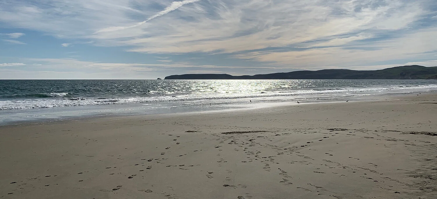Beach at Pt. Reyes.jpg
