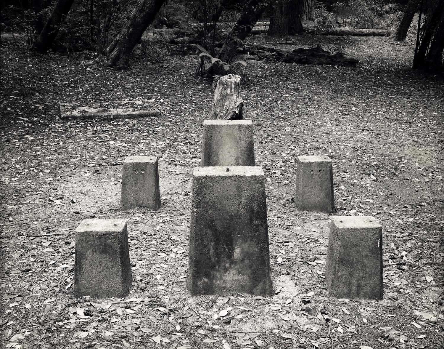 Campground Totems-web.jpg