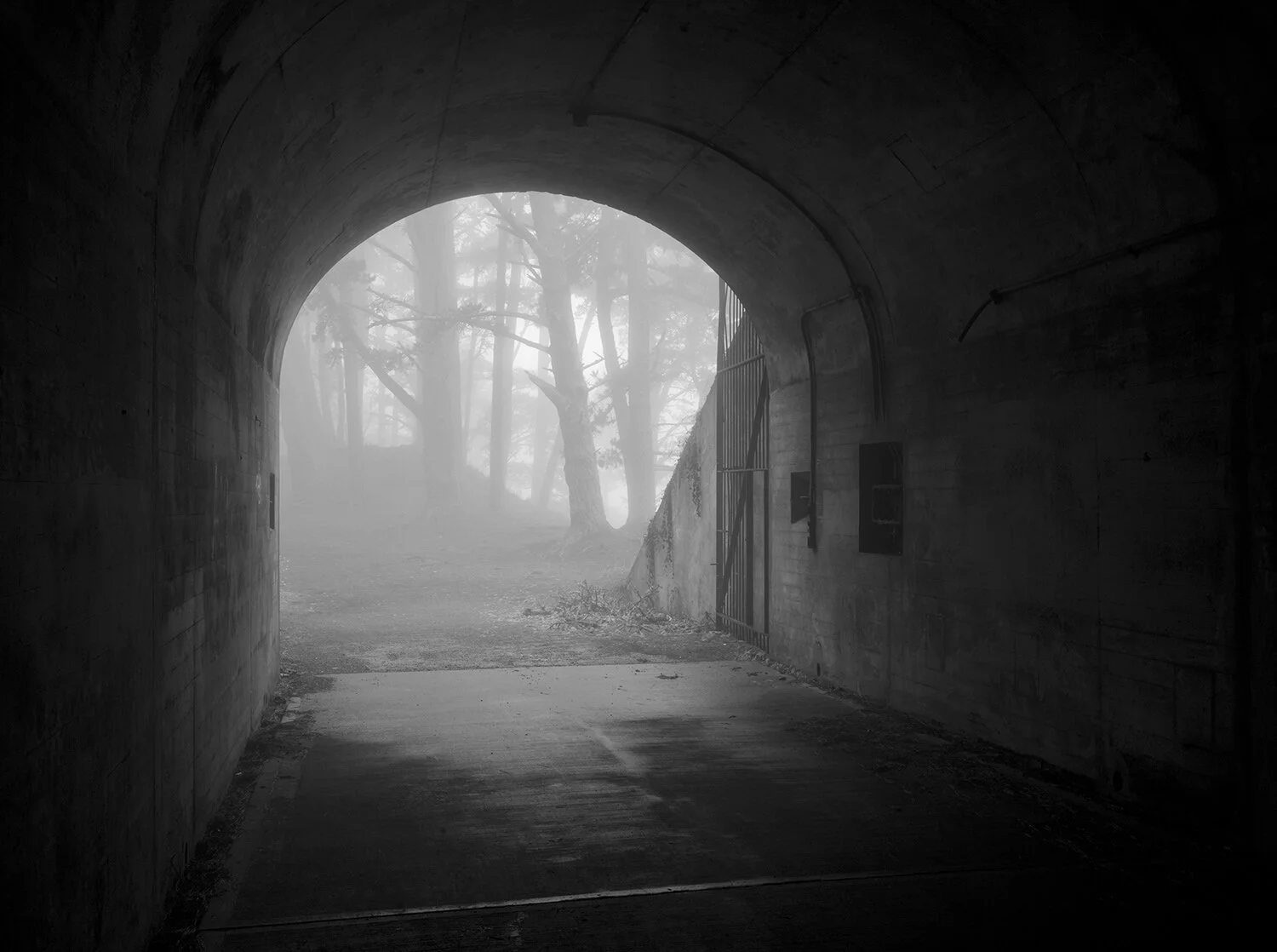 Tunnel-Fog-crop2021-web.jpg