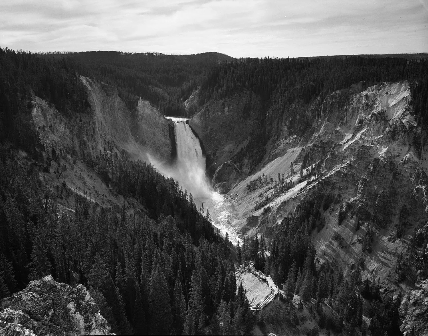 Yellowstone2-neg-2021-web.jpg
