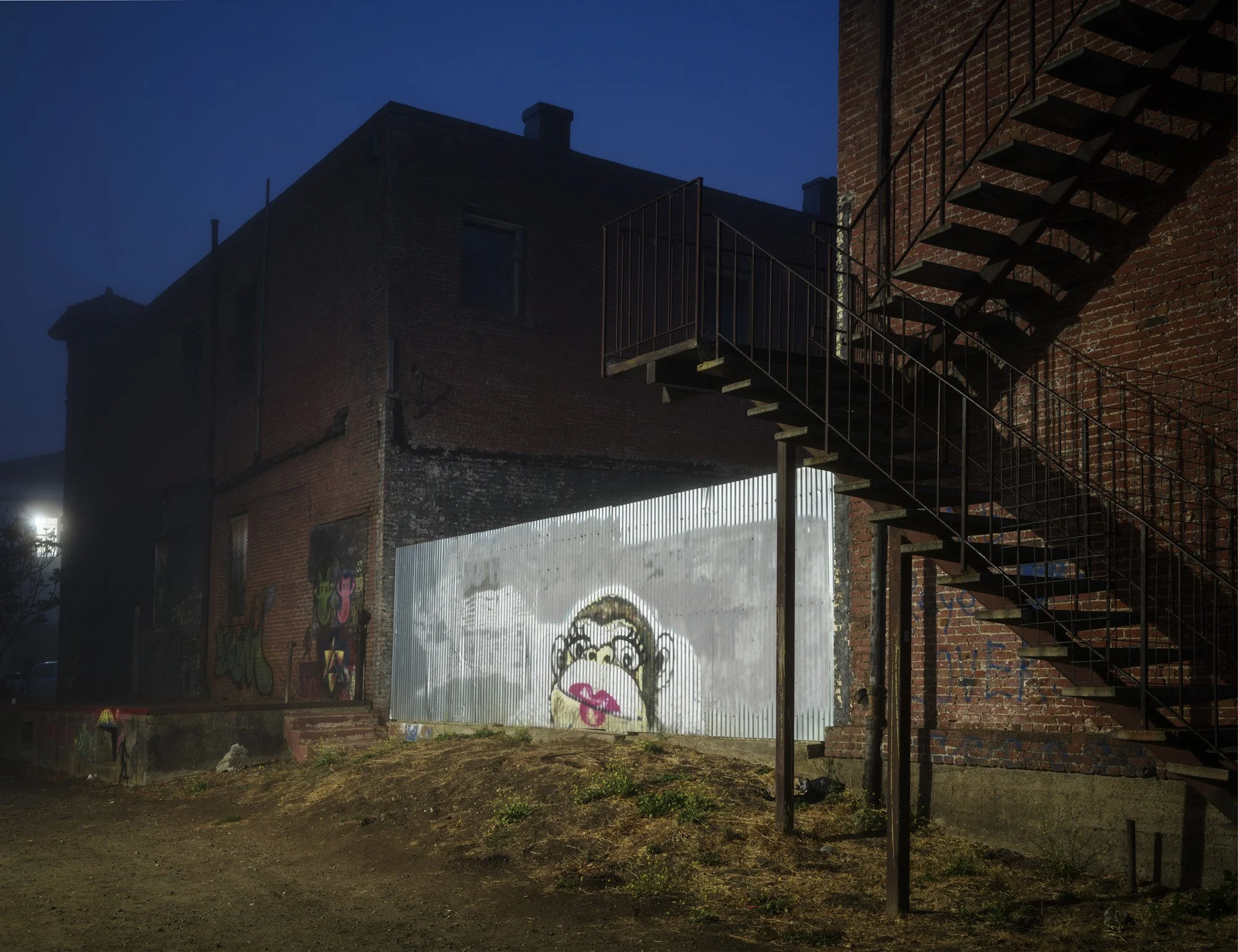 Back Alley-Pt.Reyes Station-796-web.jpg