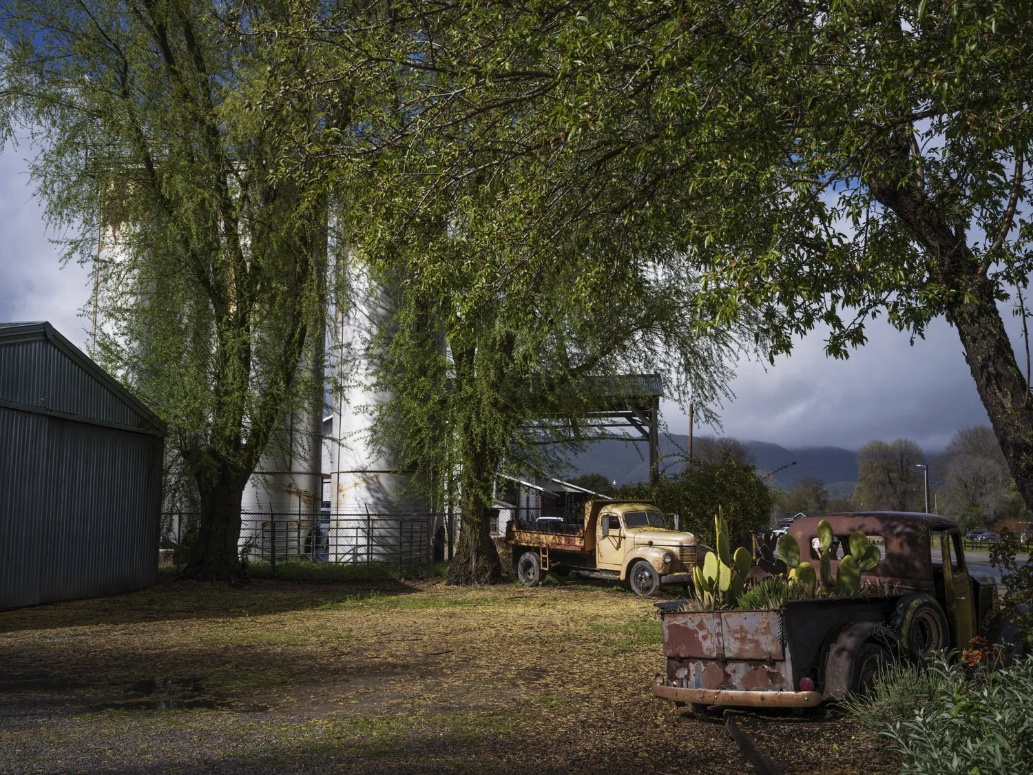 Santa Marcharita-Towers-color-371-web.jpg