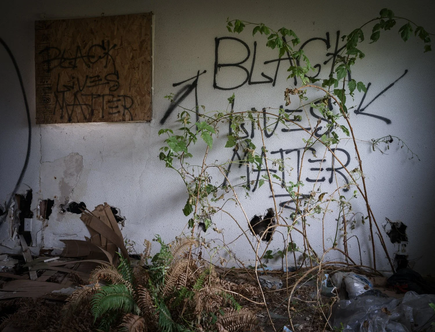 649-Outside Crescent City-web.jpg