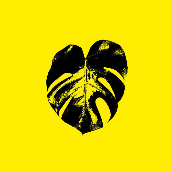 High Groove [CLIPP001]                  by DJ Boring