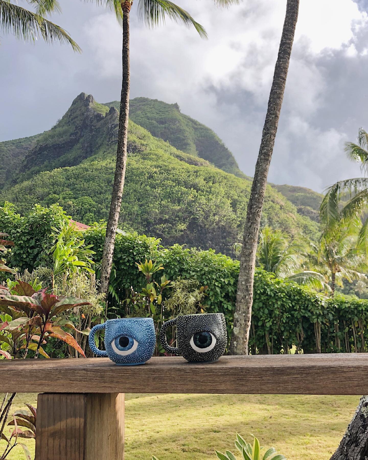 Just received these beautiful update pics of this lil pair in their new home in Hawaii! Clearly they are living their best lives with the very talented @blobdylan 💕 

Feeling just a little envious of their location right now