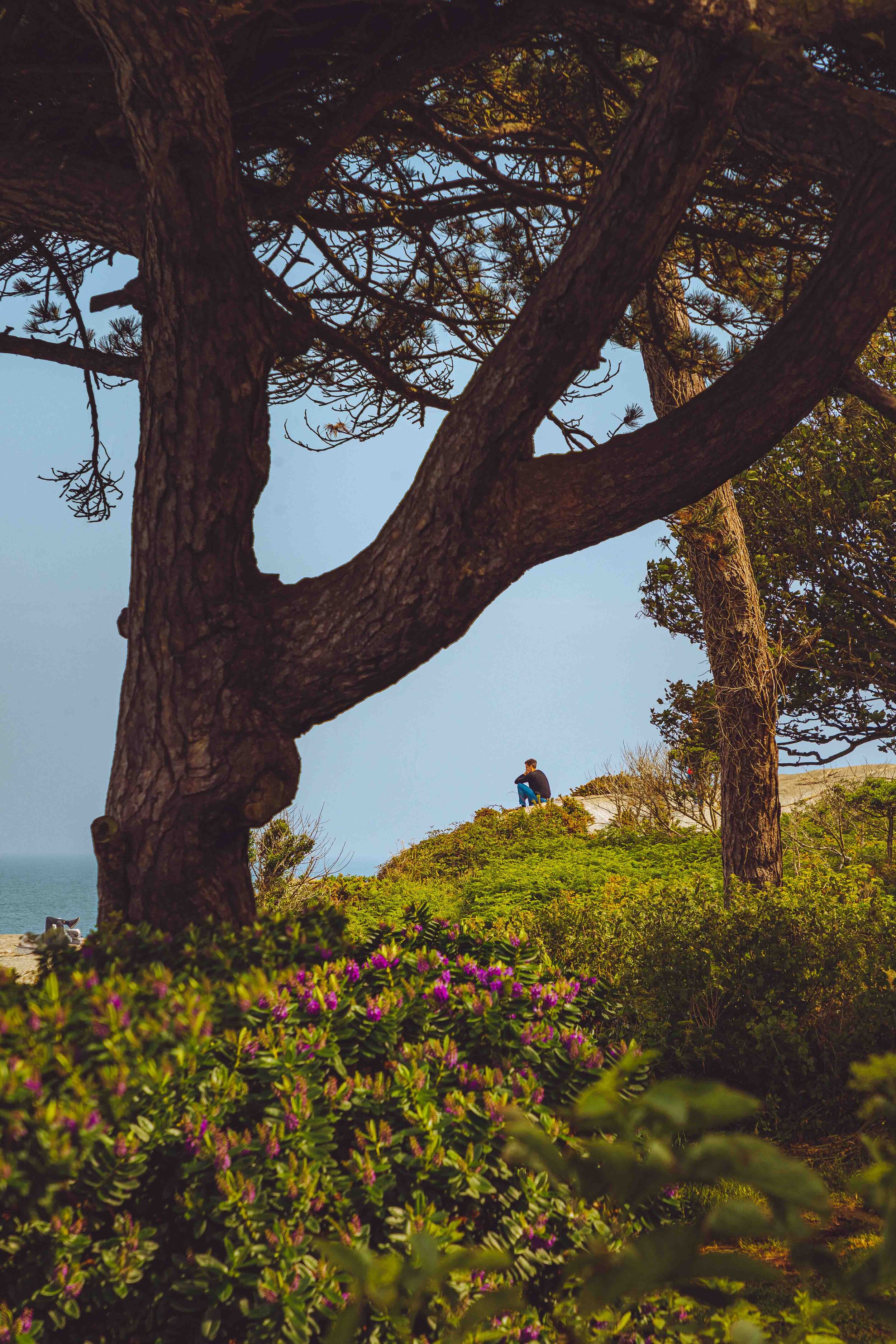 5N4A9605-HDR.jpg