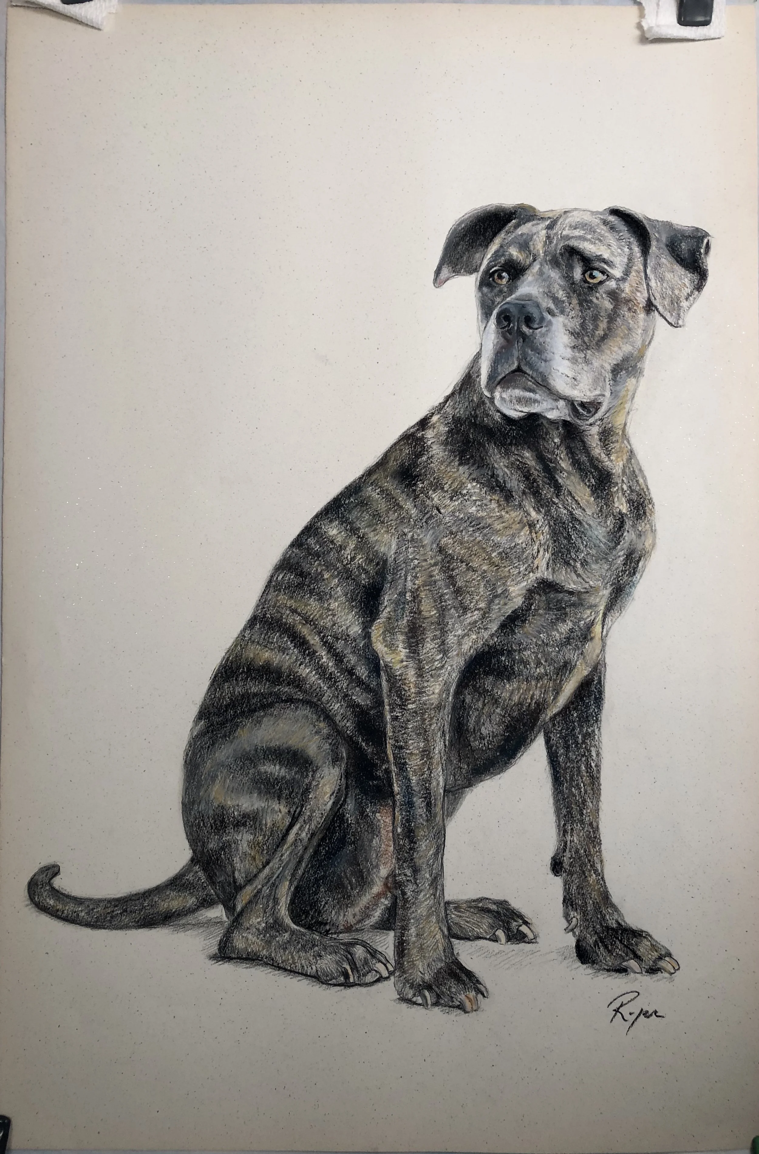 Commissioned portrait SOLD