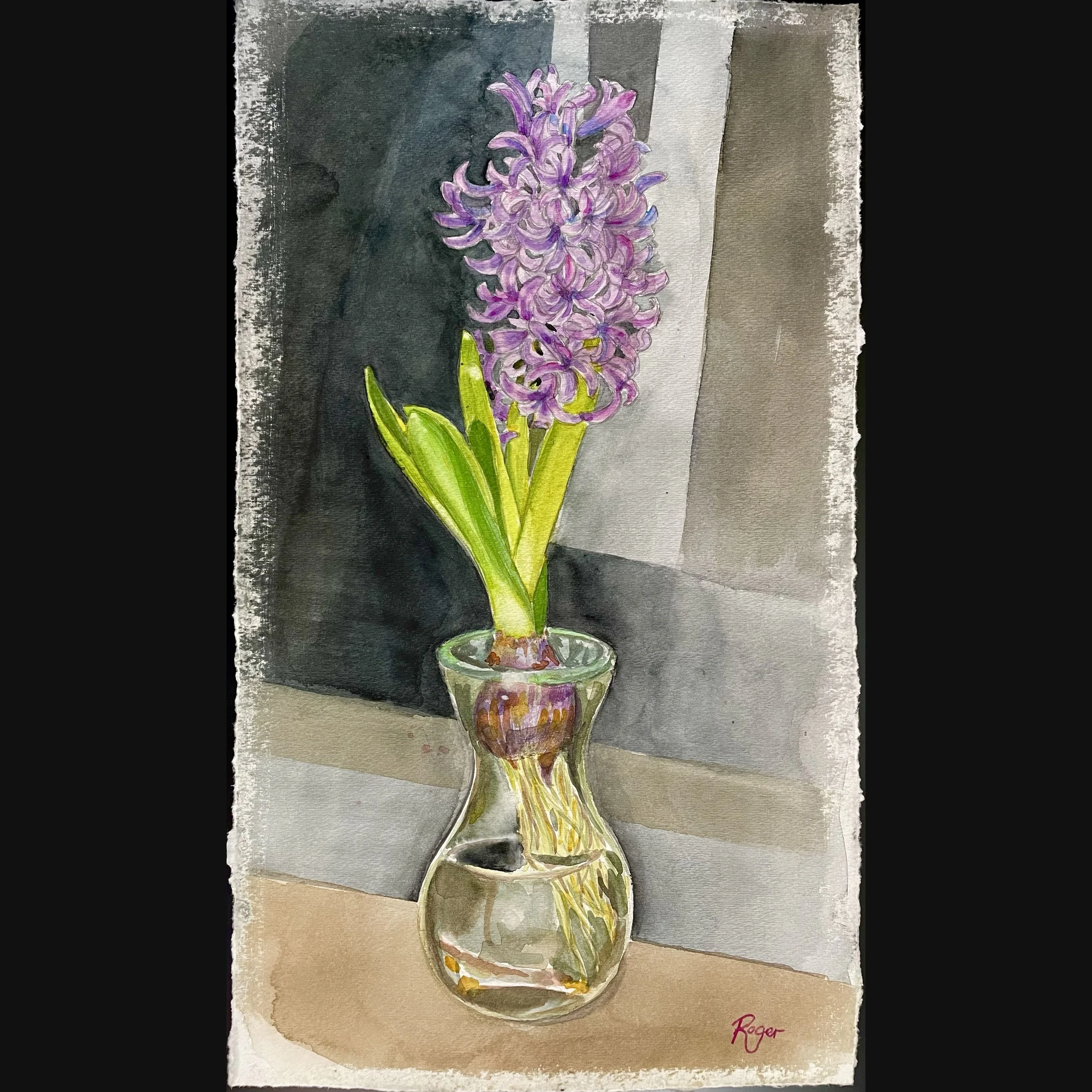 Hyacinth bulb (SOLD)