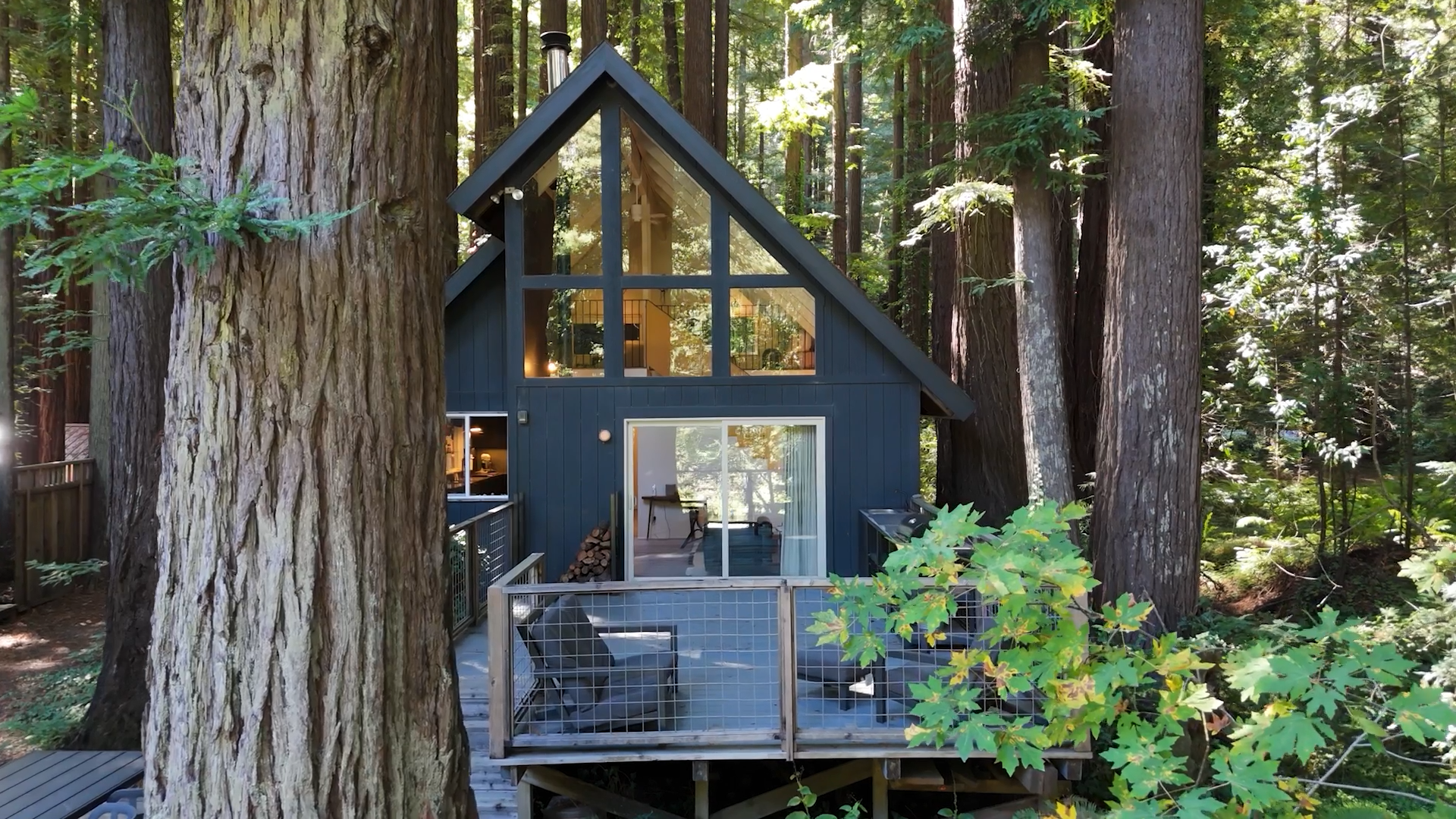 Hero Video 2 Alan Sarpy Digital Media.00_00_02_10.Still001.png